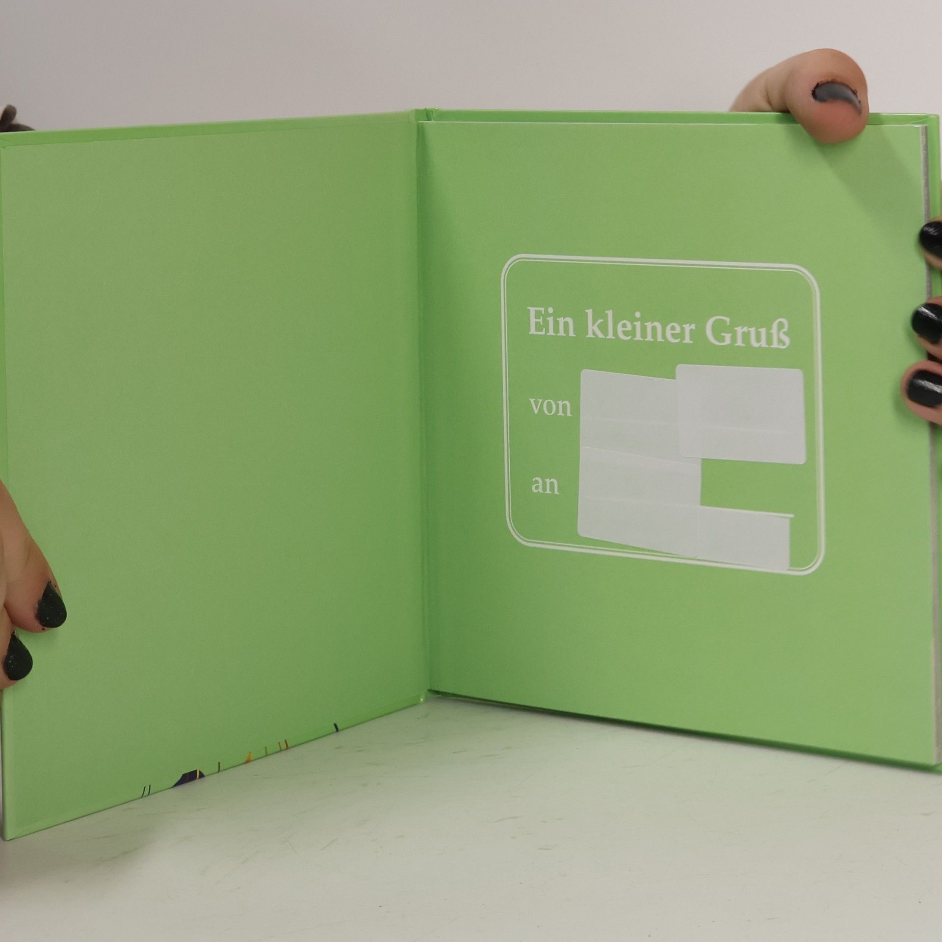 Nina Merian Die liebsten Wünsche nur für dich
