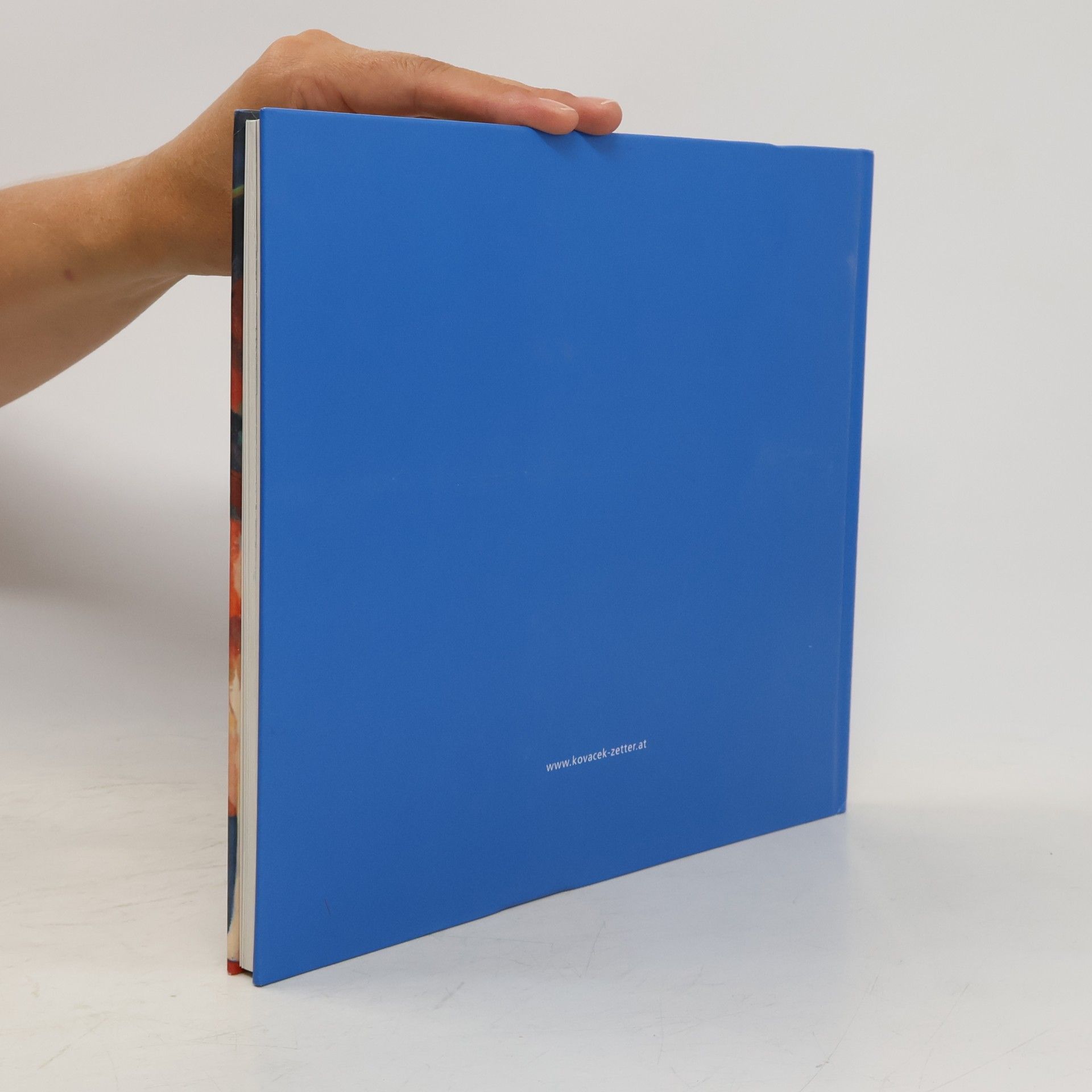 Claudia Kovacek-Longin September-Ausstellung 2013
