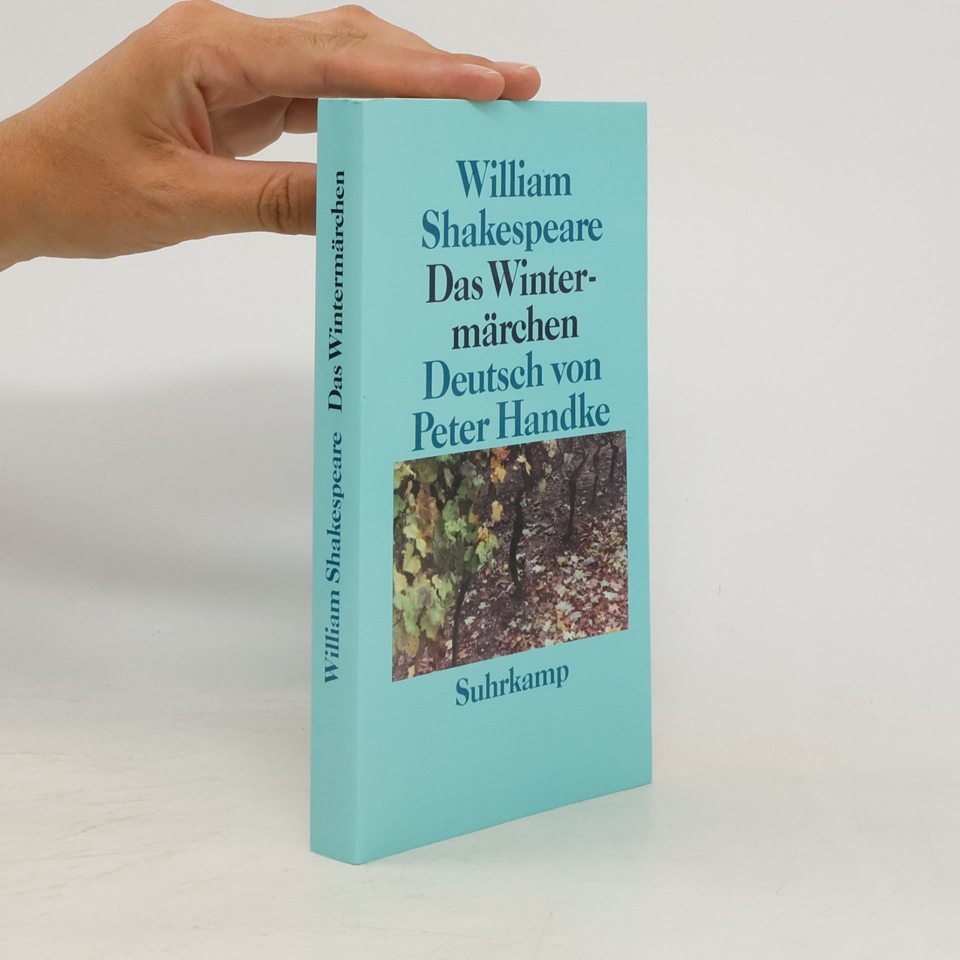 Peter Handke Das Wintermärchen