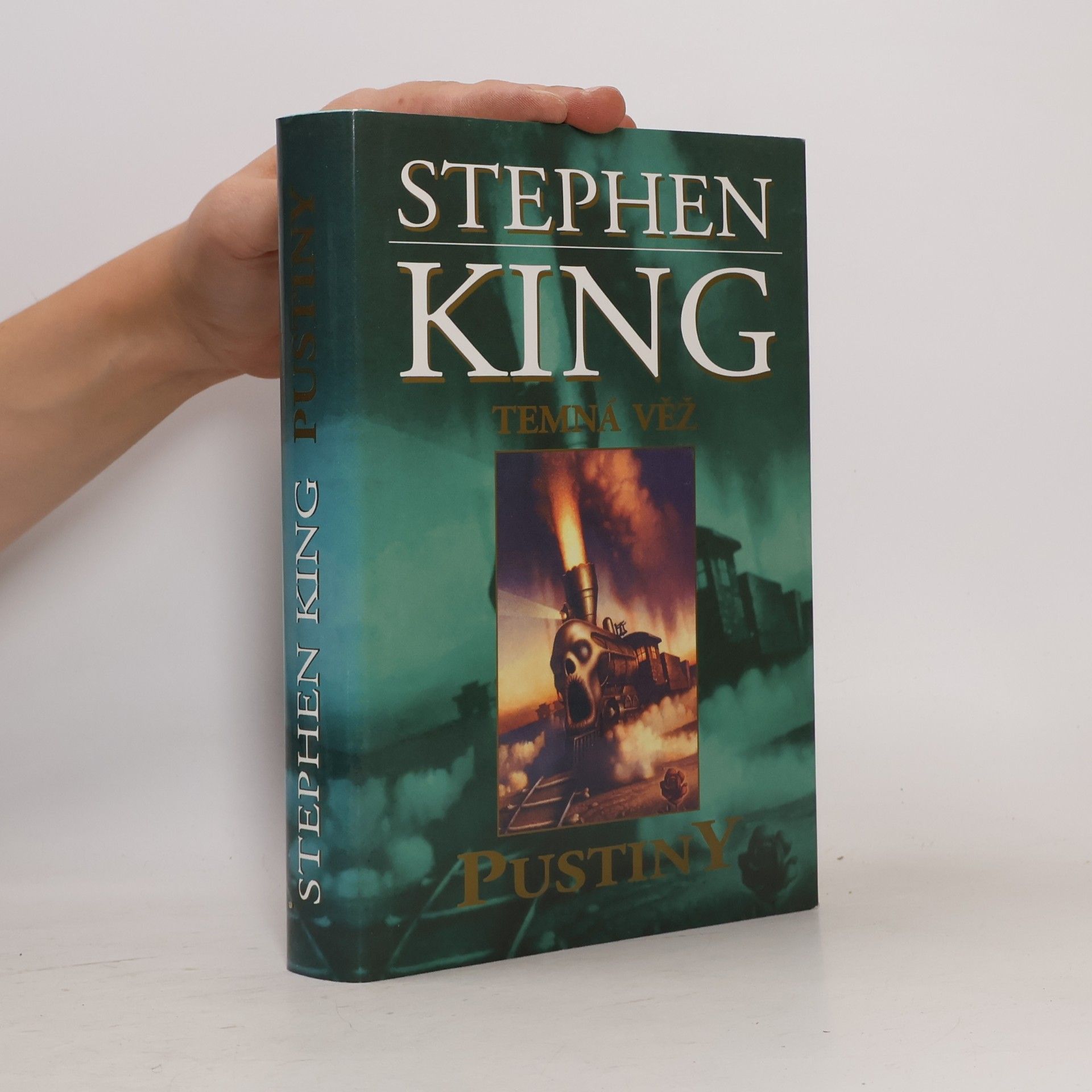 Stephen King Temná věž. Pustiny
