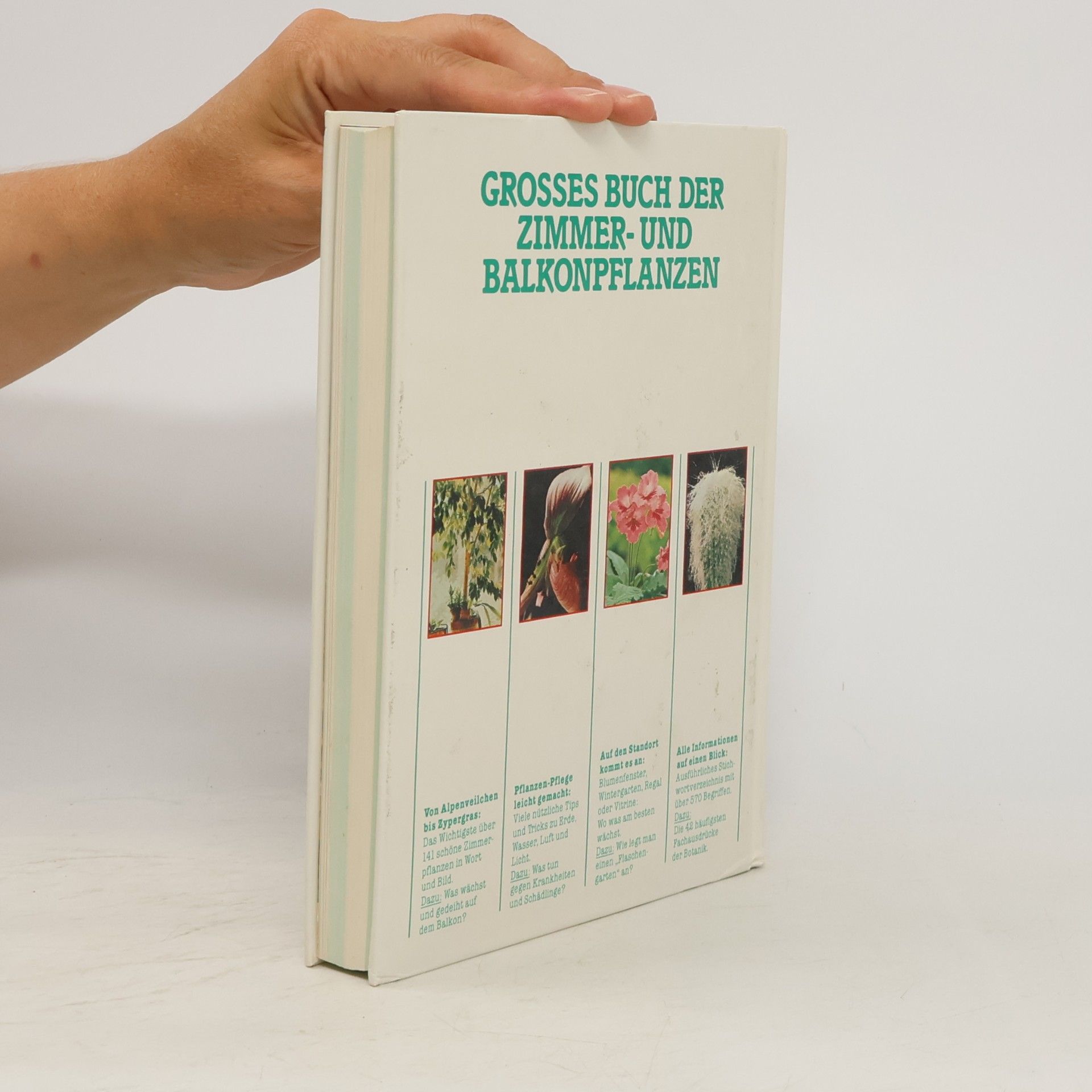 Jürgen Saupe Grossem Buch der Zimmer-und Balkonpflanzen