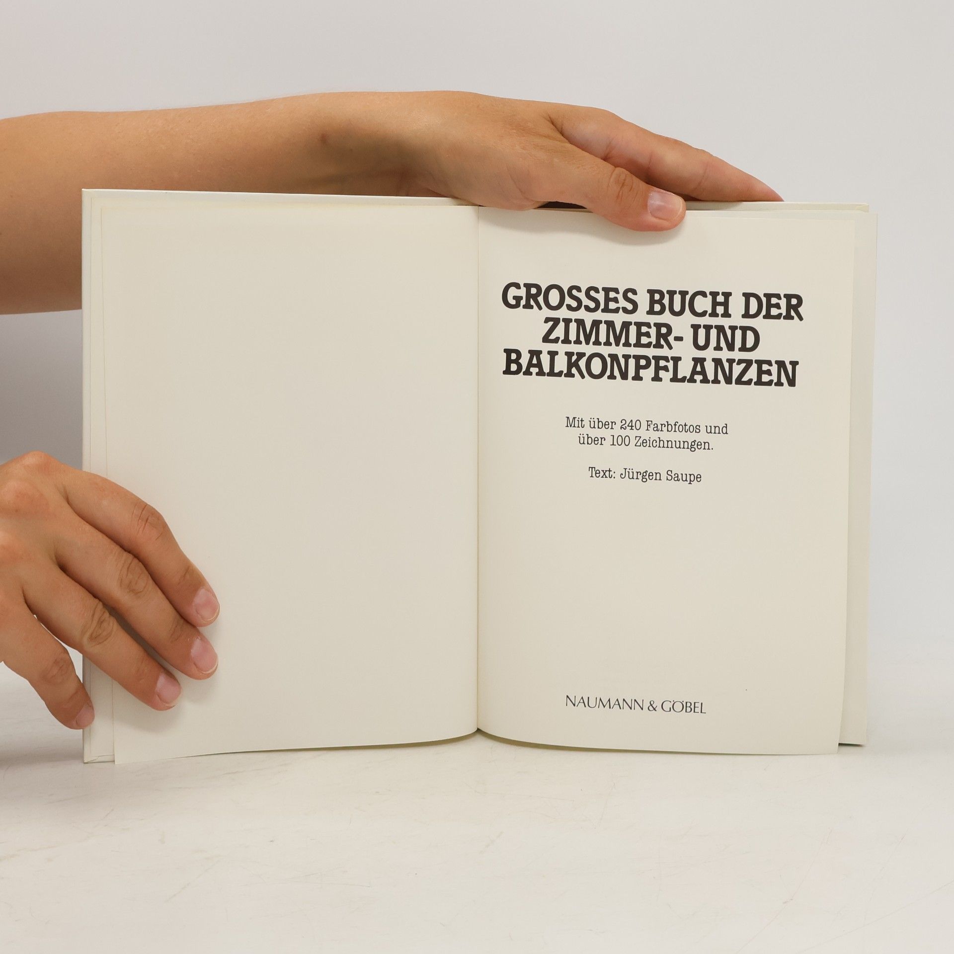 Jürgen Saupe Grossem Buch der Zimmer-und Balkonpflanzen