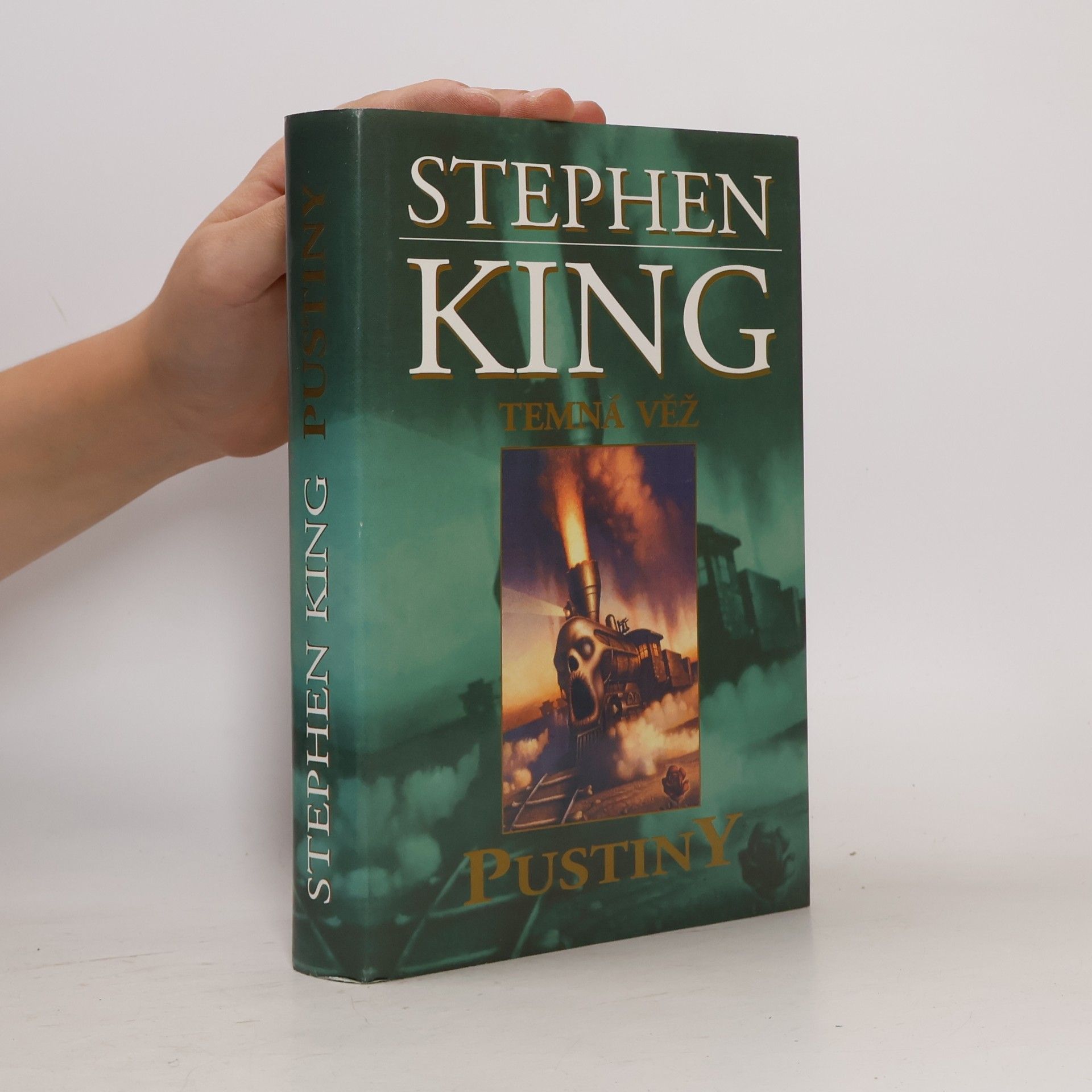 Stephen King Temná věž. Pustiny
