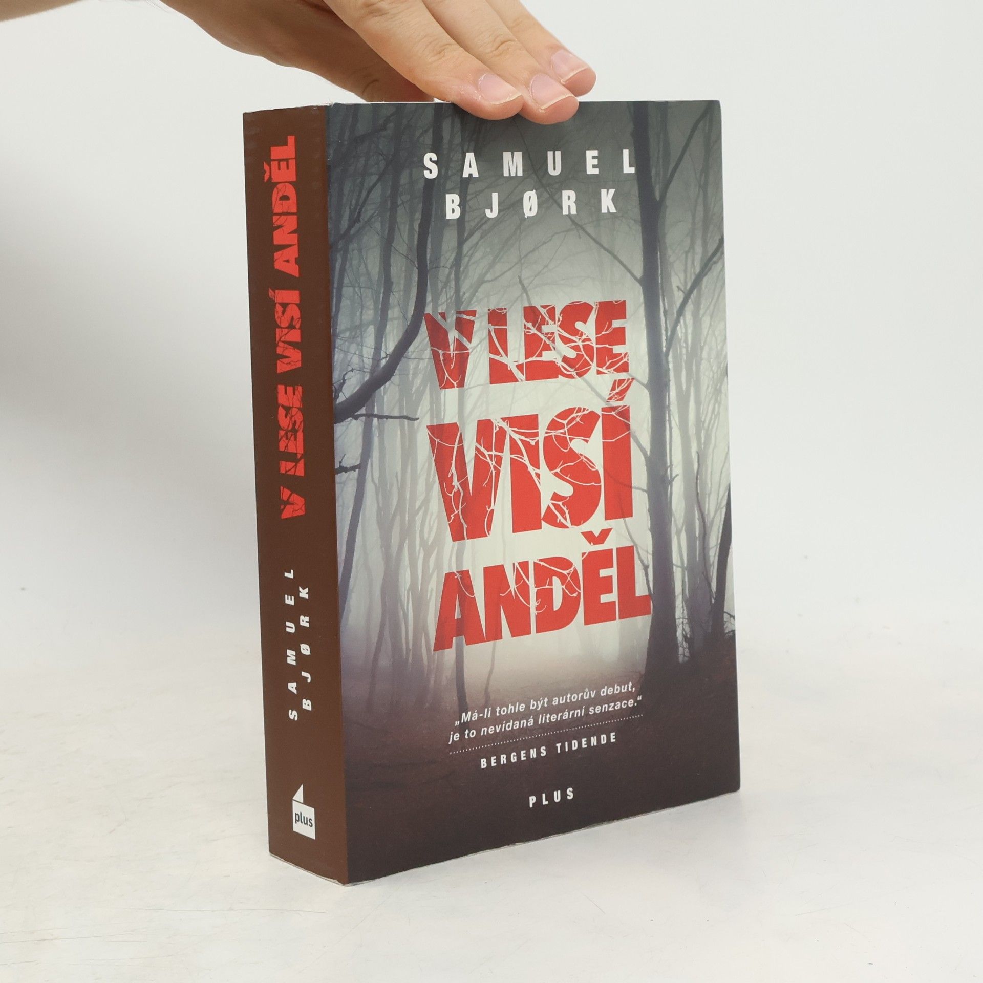 Samuel Bjork V lese visí anděl