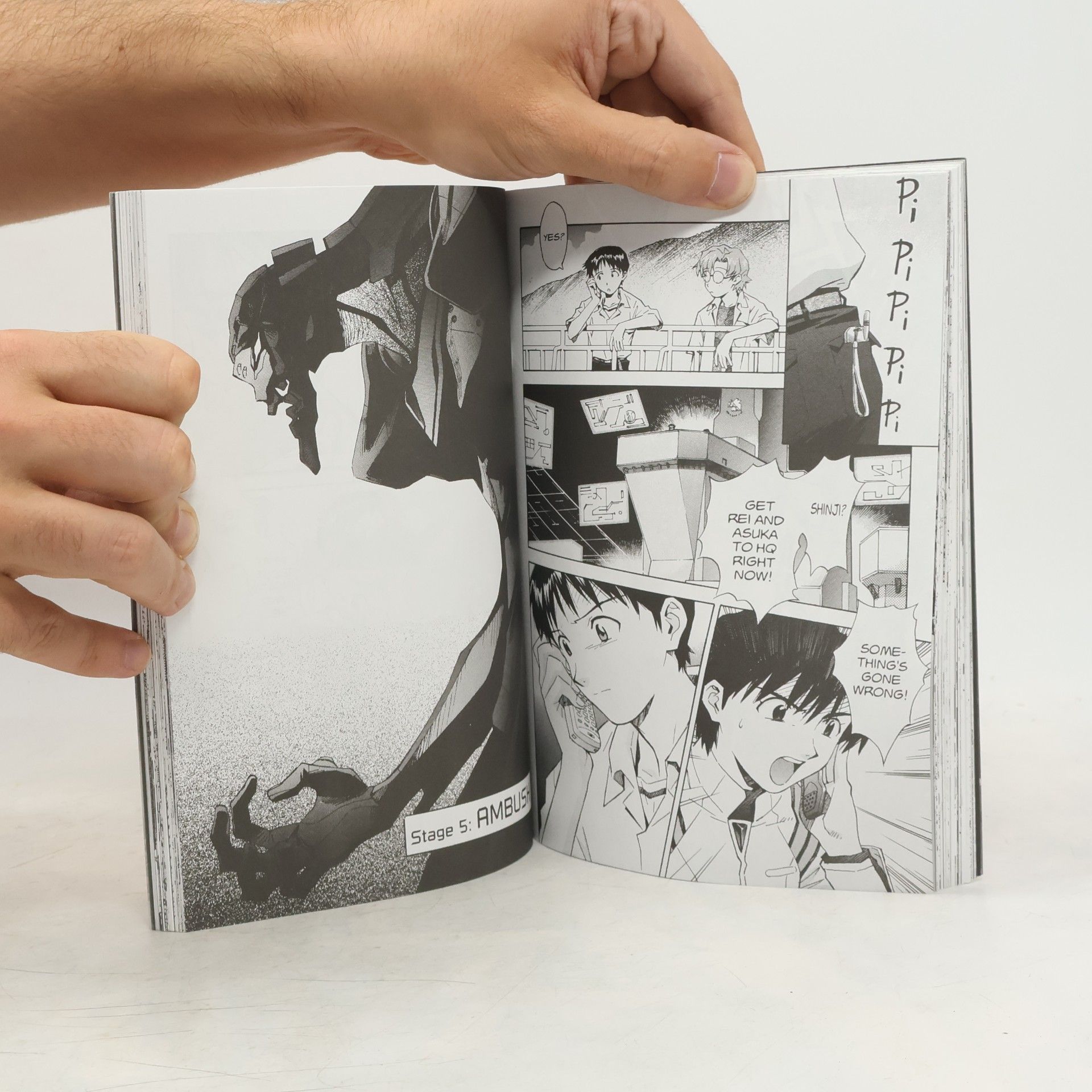 Yoshiyuki Sadamoto Neon Genesis Evangelion - Special Collector's Edition