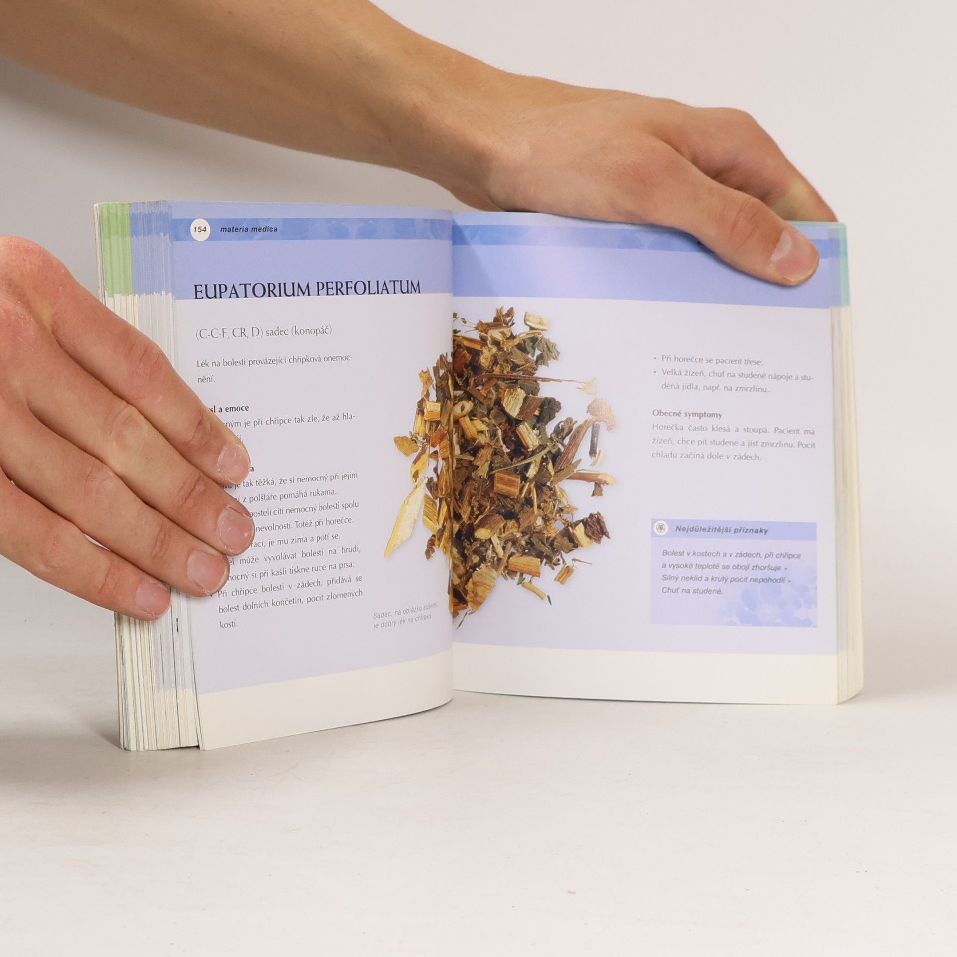 Ambika Wauters Homeopatie od A do Z: Všechno, co chcete vědět o této léčebné metodě