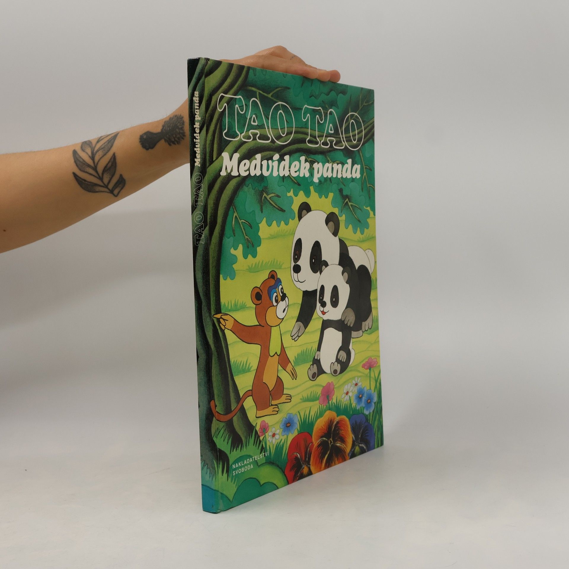 Auteurscollectief Tao Tao. Medvídek panda