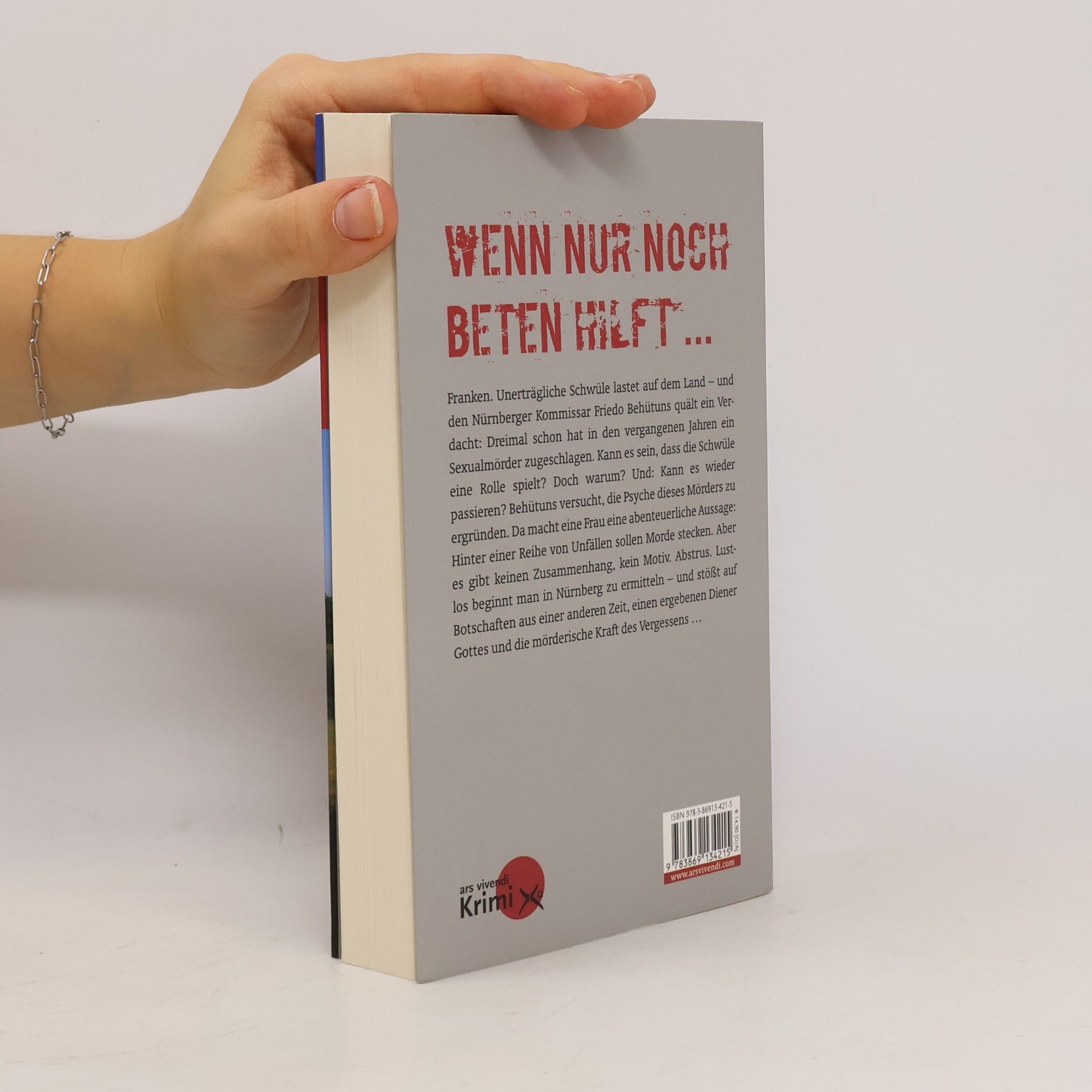 Tommie Goerz Friedo-Behütuns-Reihe - 5: Einkehr