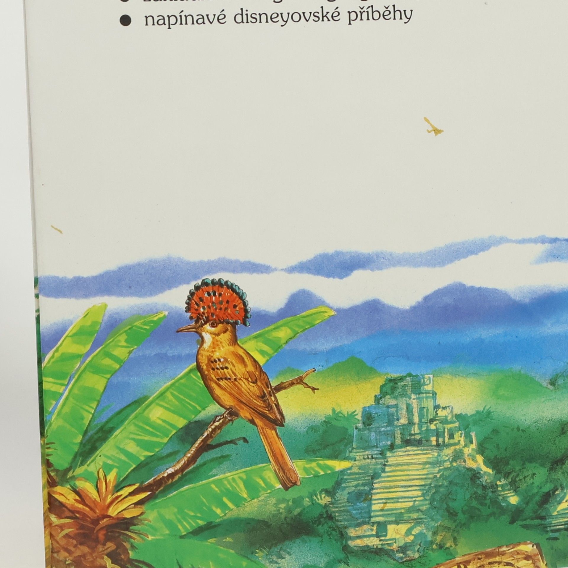 Walt Disney Za tajemstvím pralesa