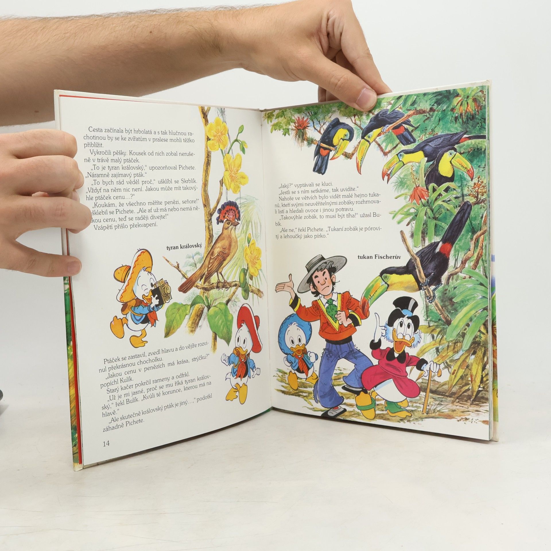 Walt Disney Za tajemstvím pralesa