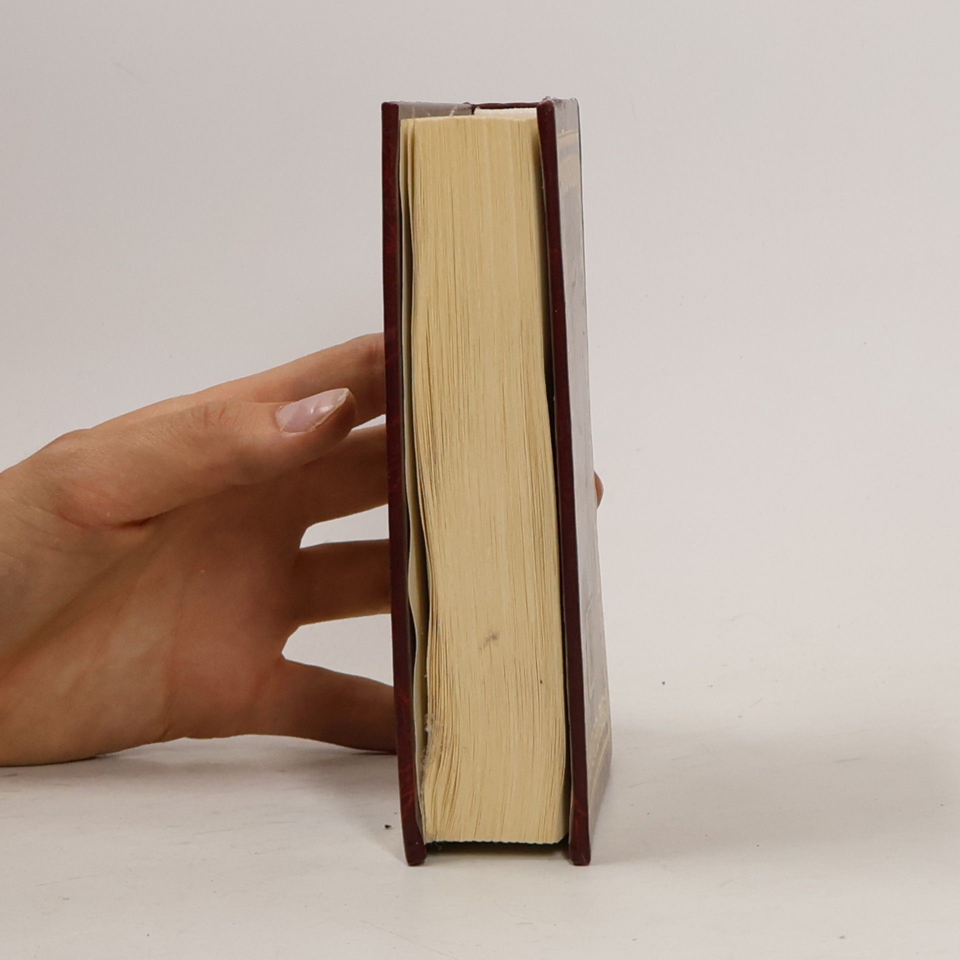 Autorenkollektiv Pramen přátelství