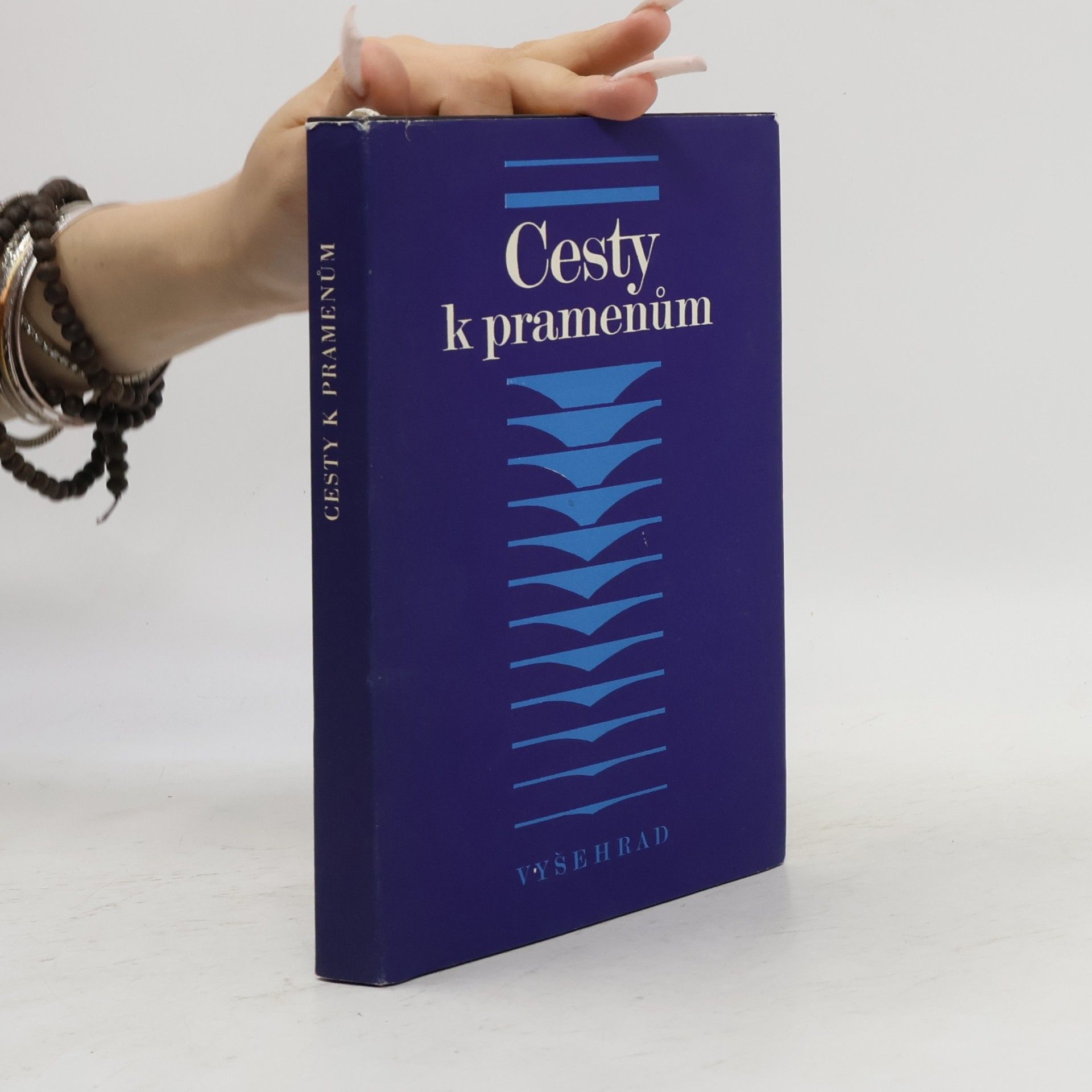 Kurt Schubert Cesty k pramenům