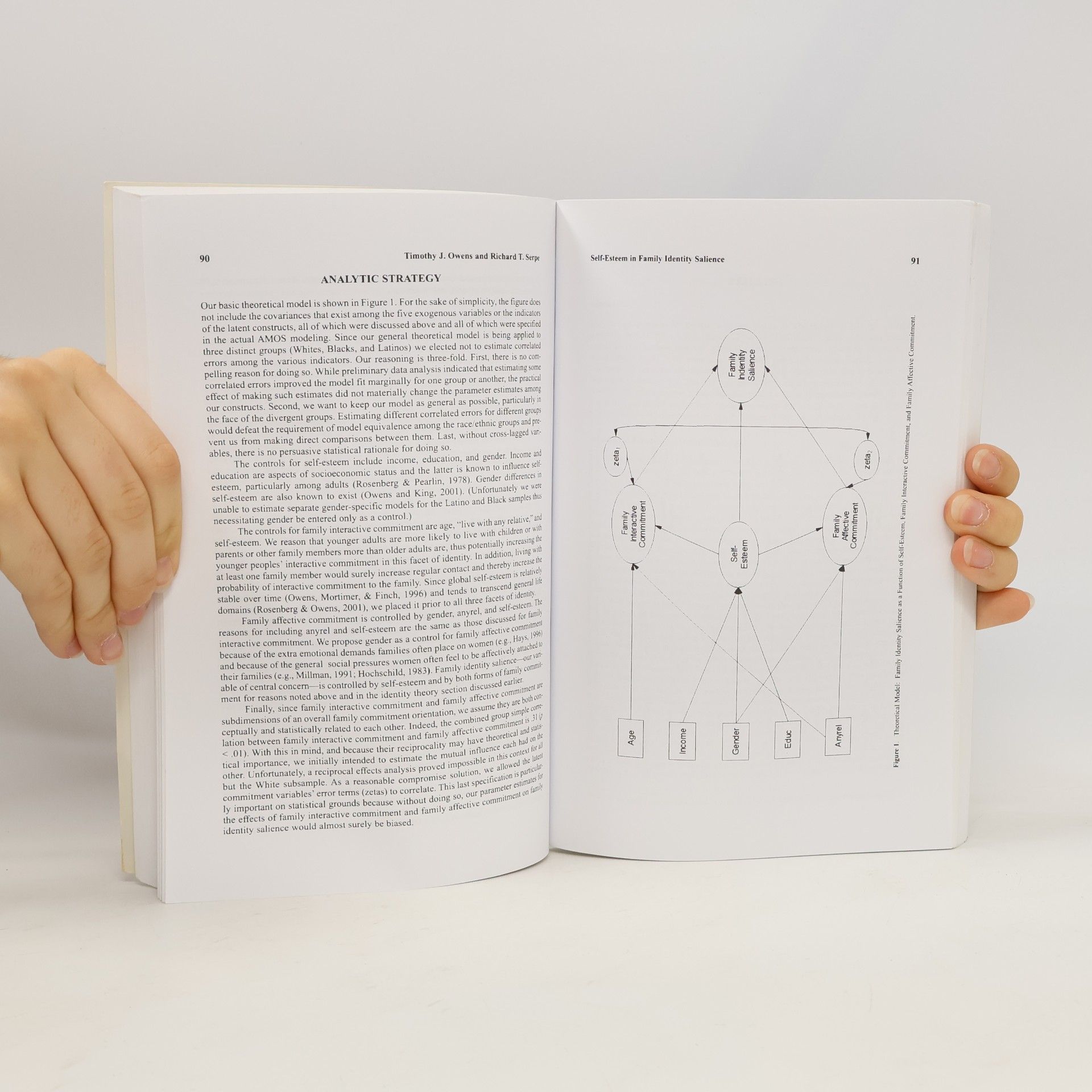 Peter J. Burke Advances in Identity Theory and Research