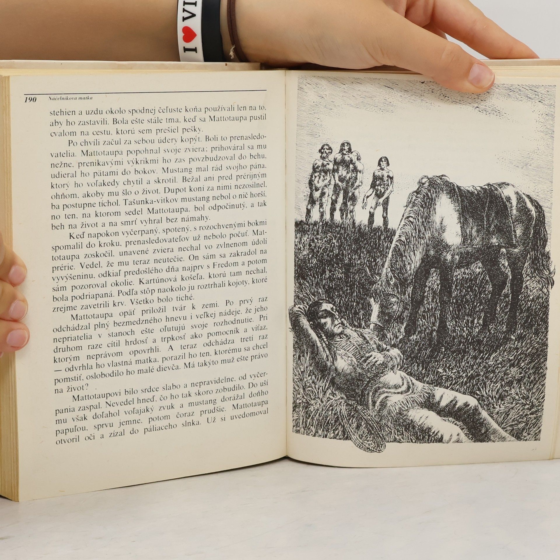 Liselotte Welskopfová-Henrichová Synovia Veľkej Medvedice III. diel. Jaskyňa v Čiernych horách