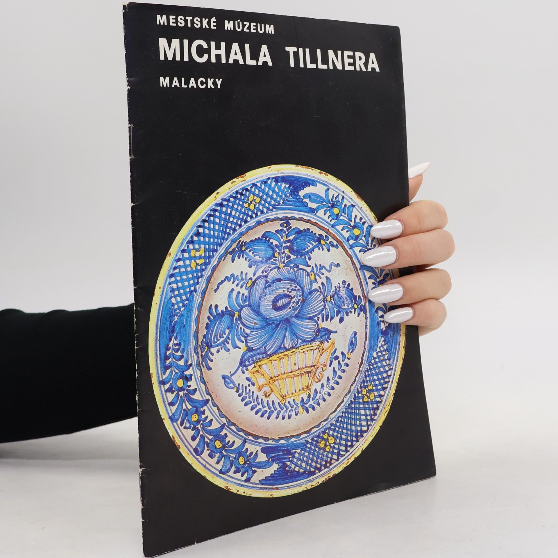 Collectif d'auteurs Mestské múzeum Michala Tillnera. Malacky