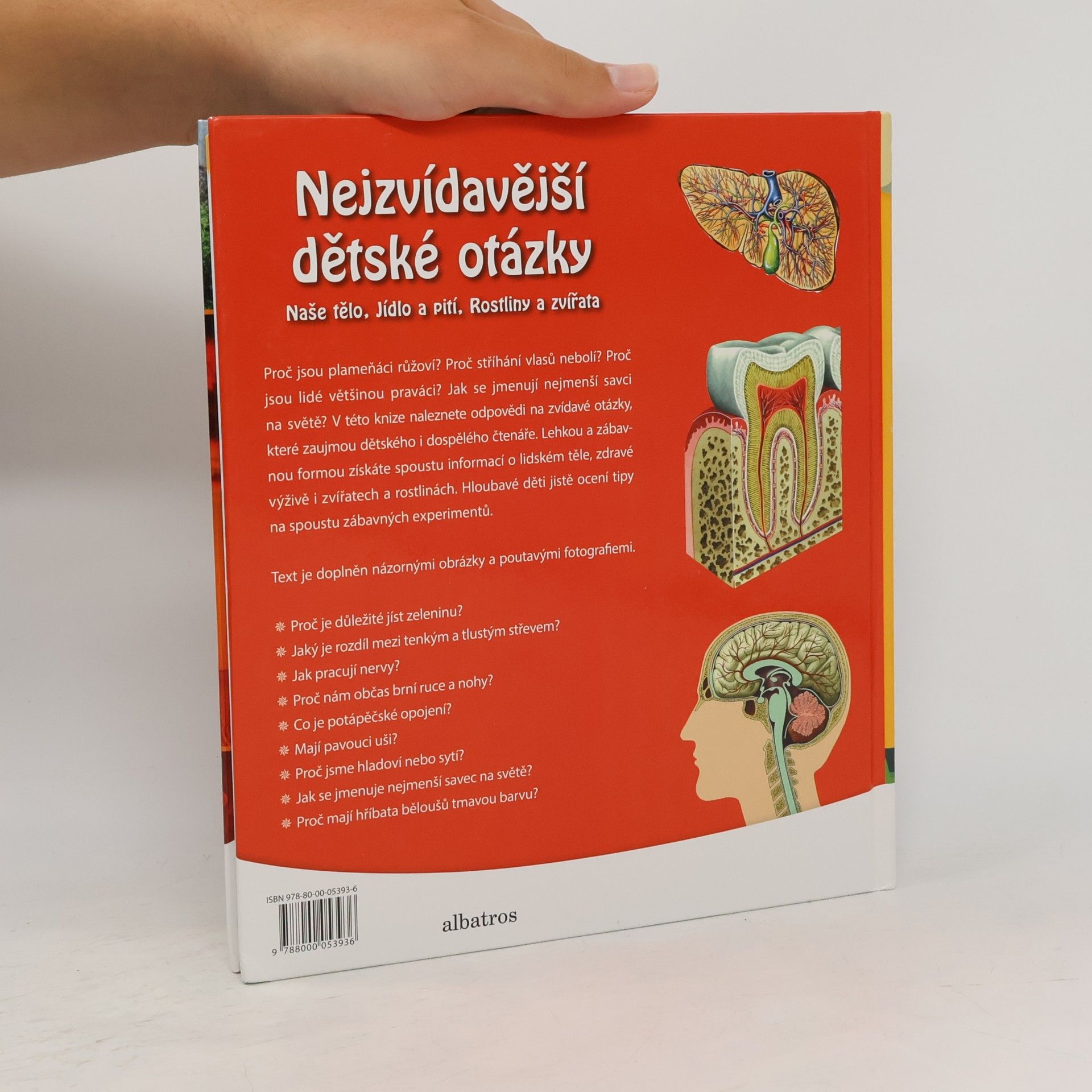 Autorenkollektiv Nejzvídavější dětské otázky
