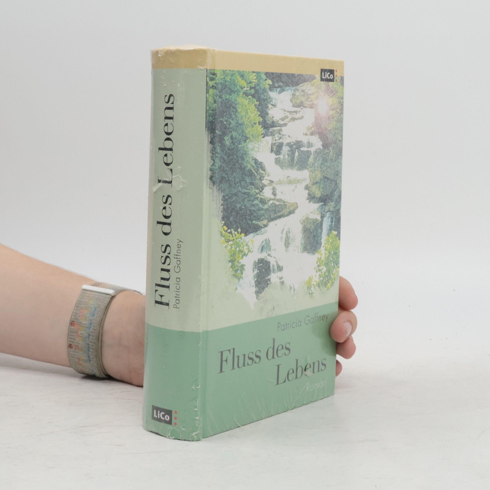 Patricia Gaffney Fluss des Lebens