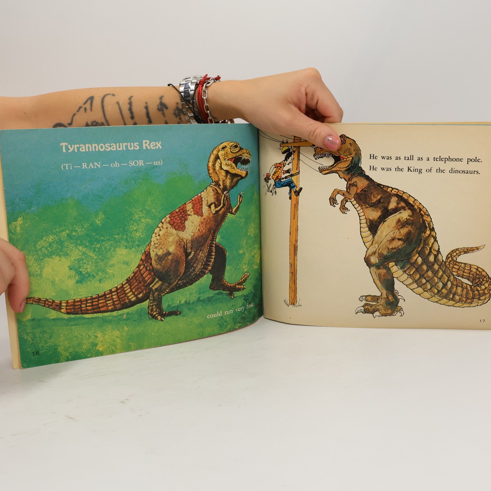 Erna Dirks Rowe Giant Dinosaurs