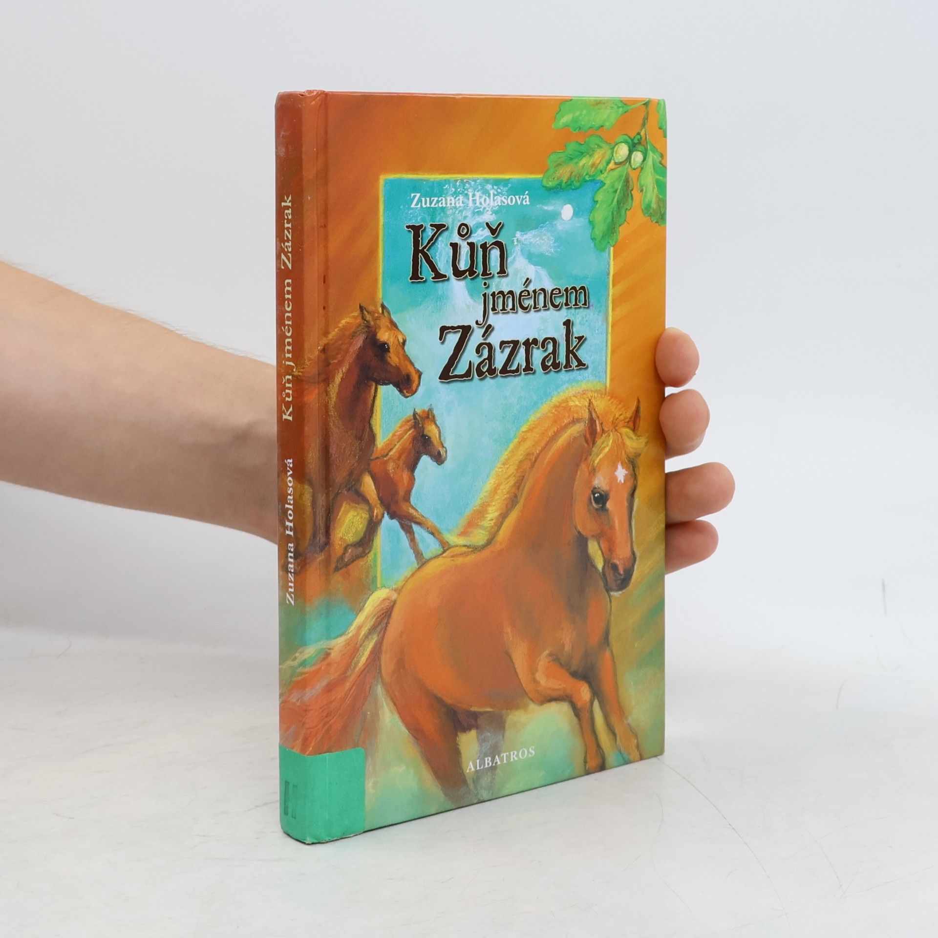 Zuzana Holasová Kůň jménem Zázrak