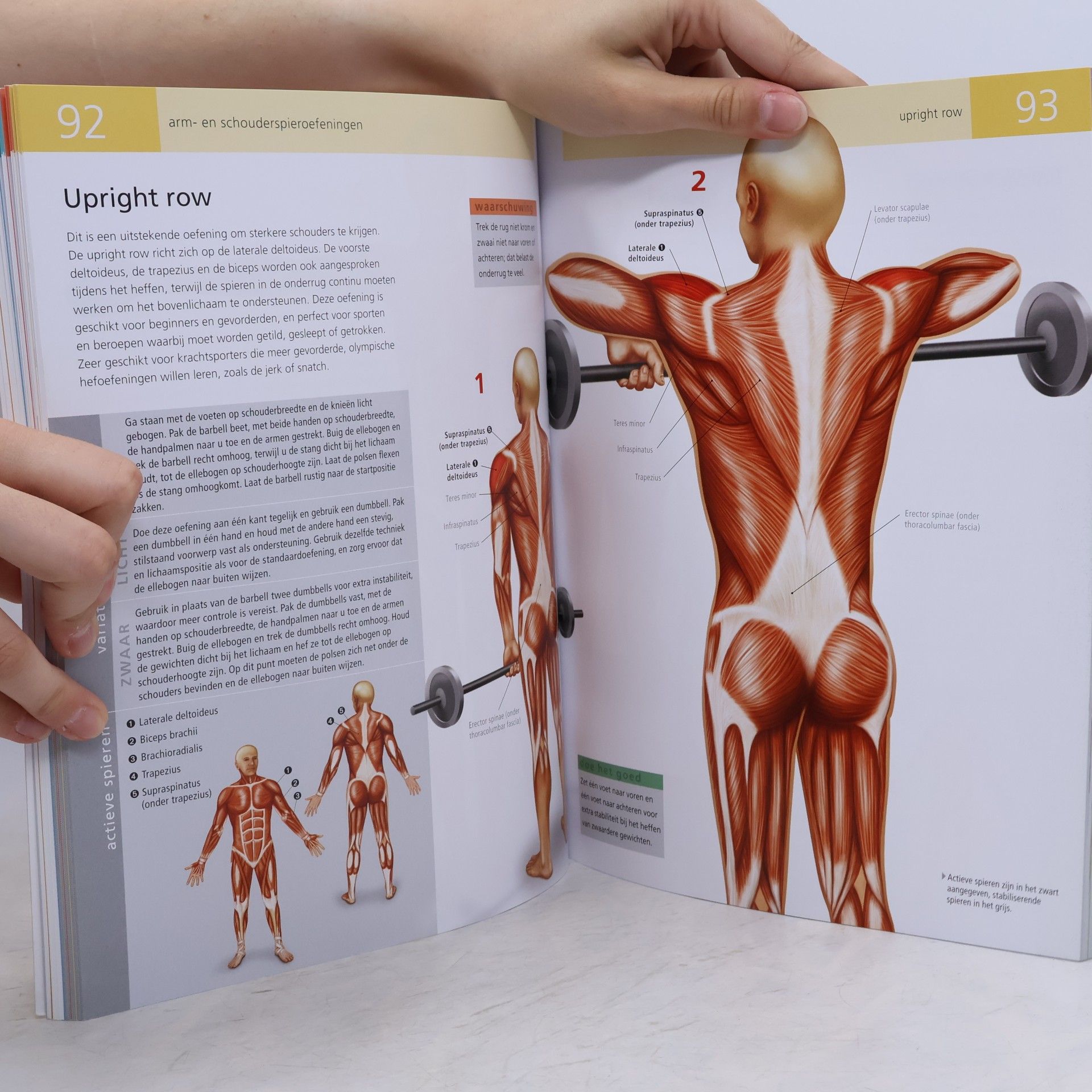 Ken Ashwell Anatomie van Fitness- en Krachttraining