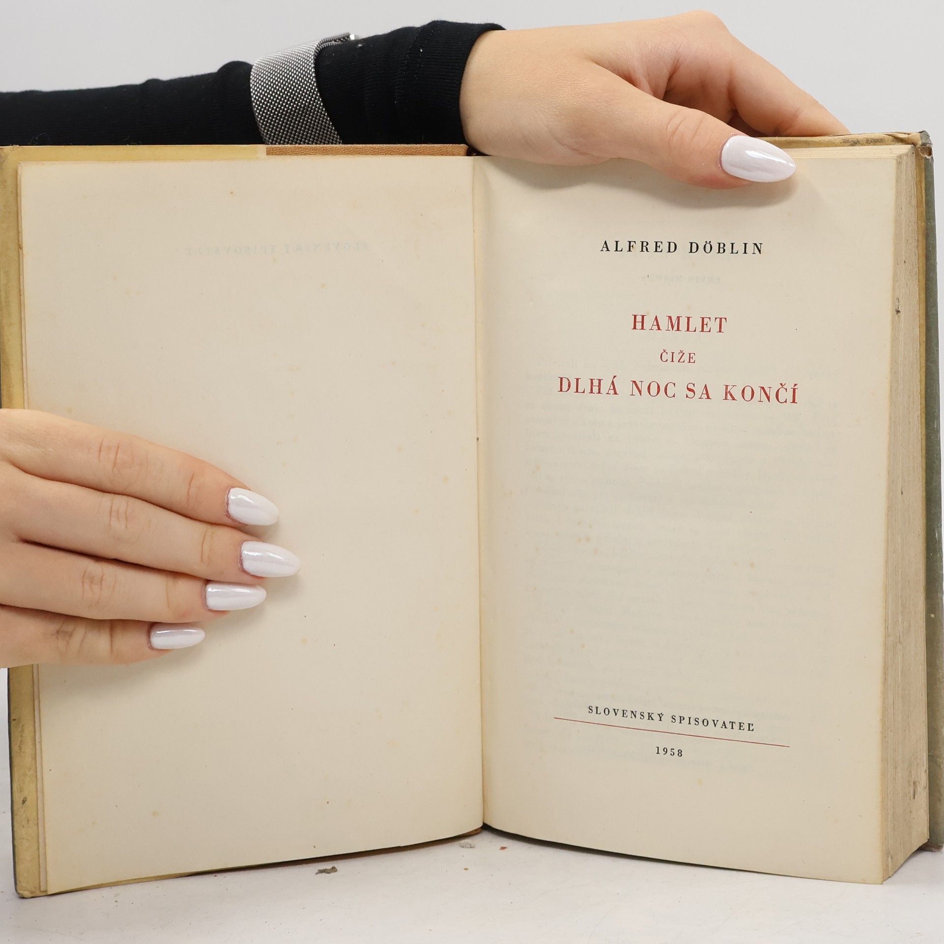 Alfred Döblin Hamlet, čiže, dlhá noc sa končí