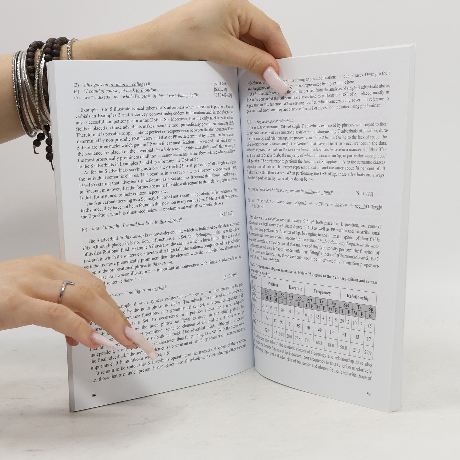 Collectif d'auteurs New Chapters in Functional Syntax