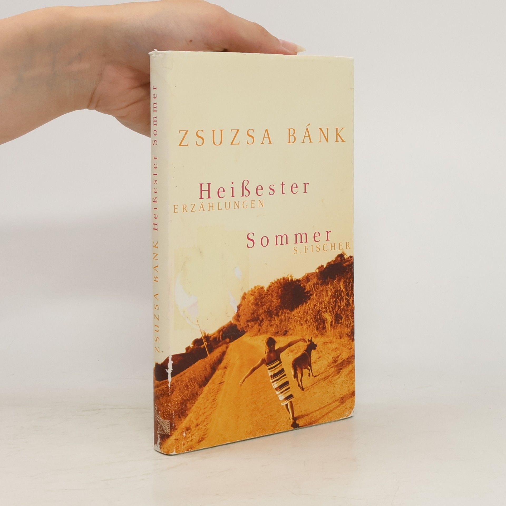 Zsuzsa Bánk Heissester Sommer