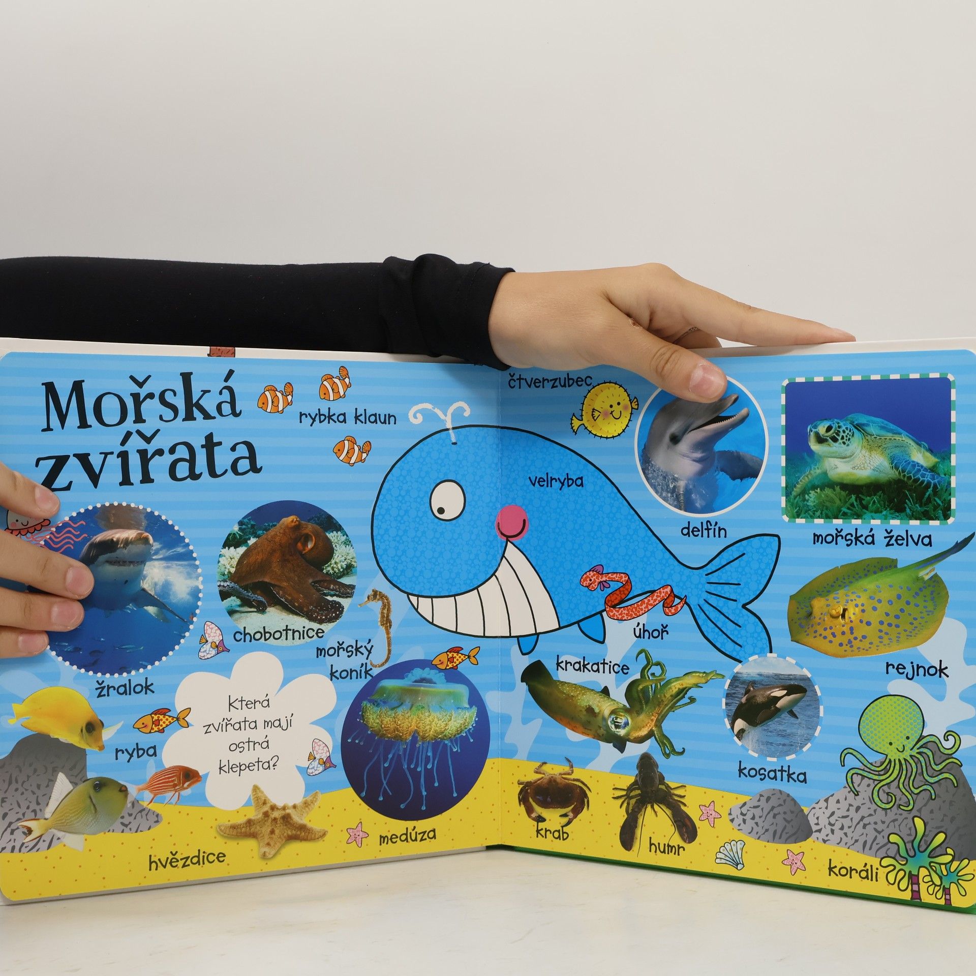 Autorenkollektiv Prvních 100 zvířátek