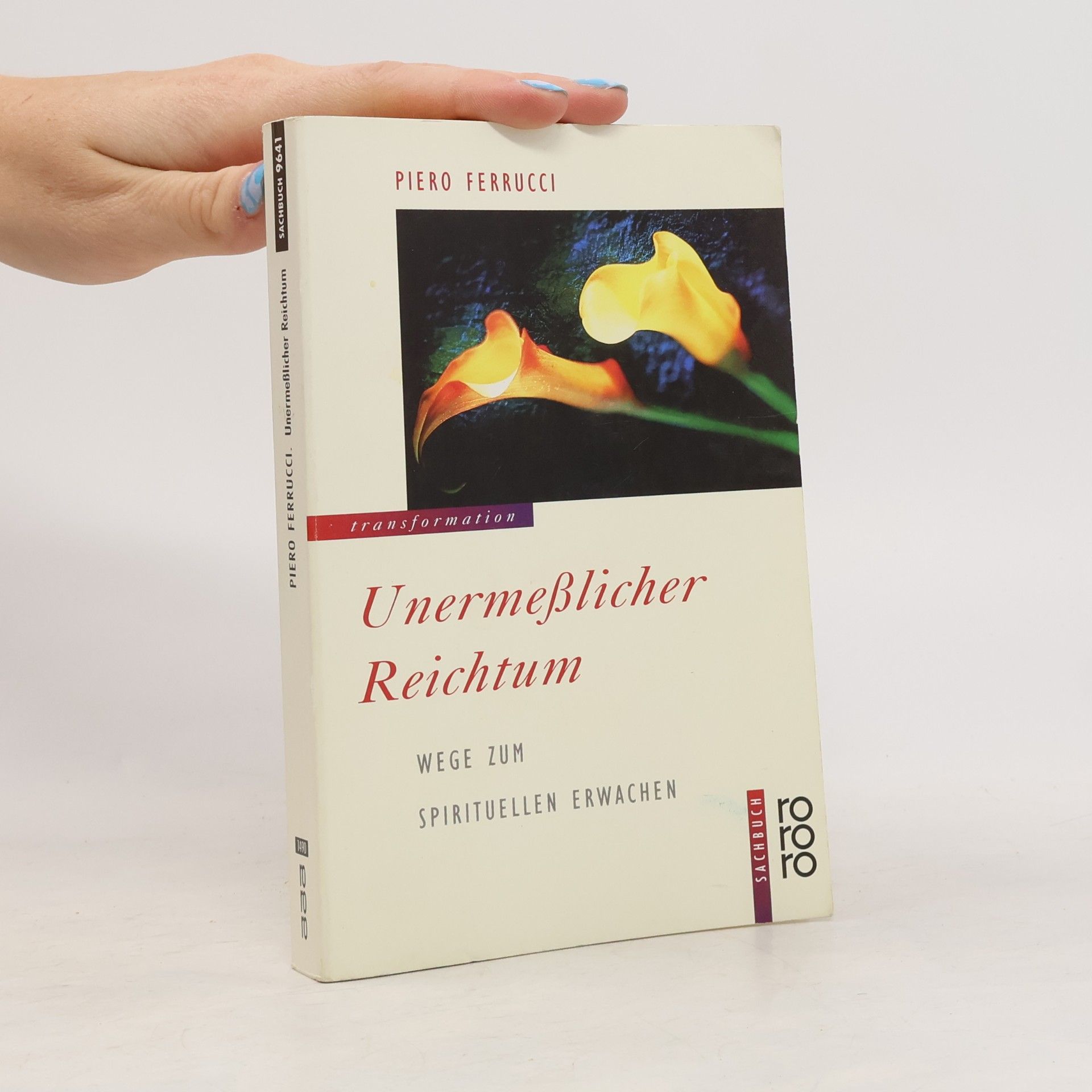 Piero Ferrucci Unermesslicher Reichtum