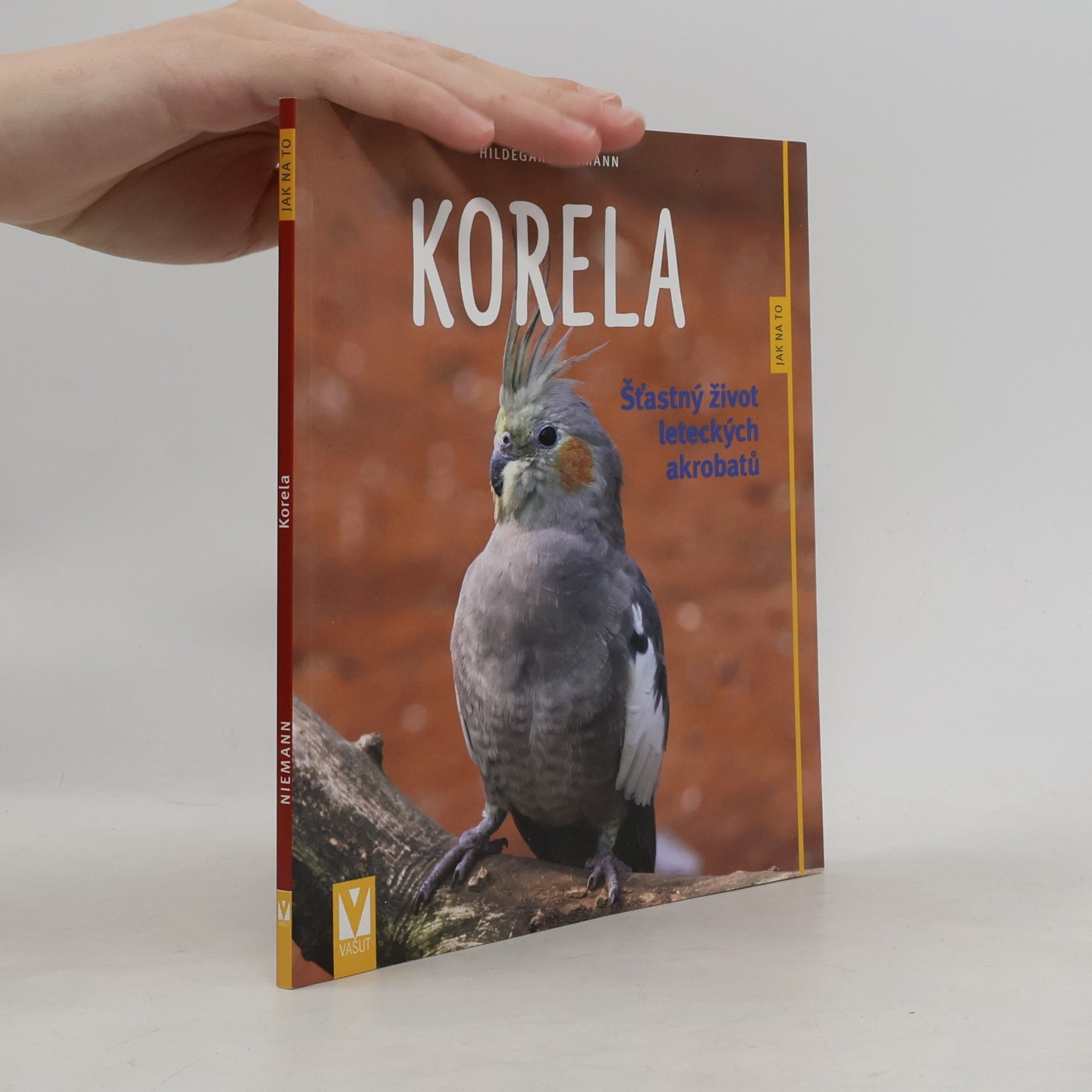 Korela