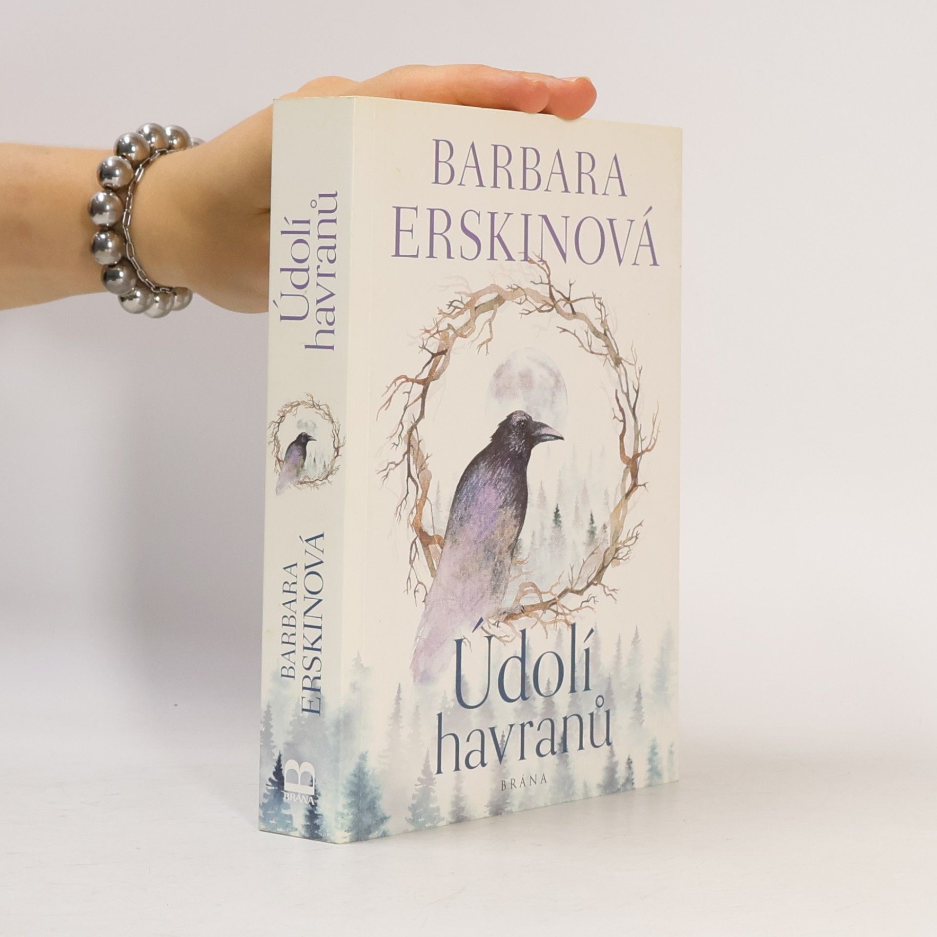 Barbara Erskine Údolí havranů