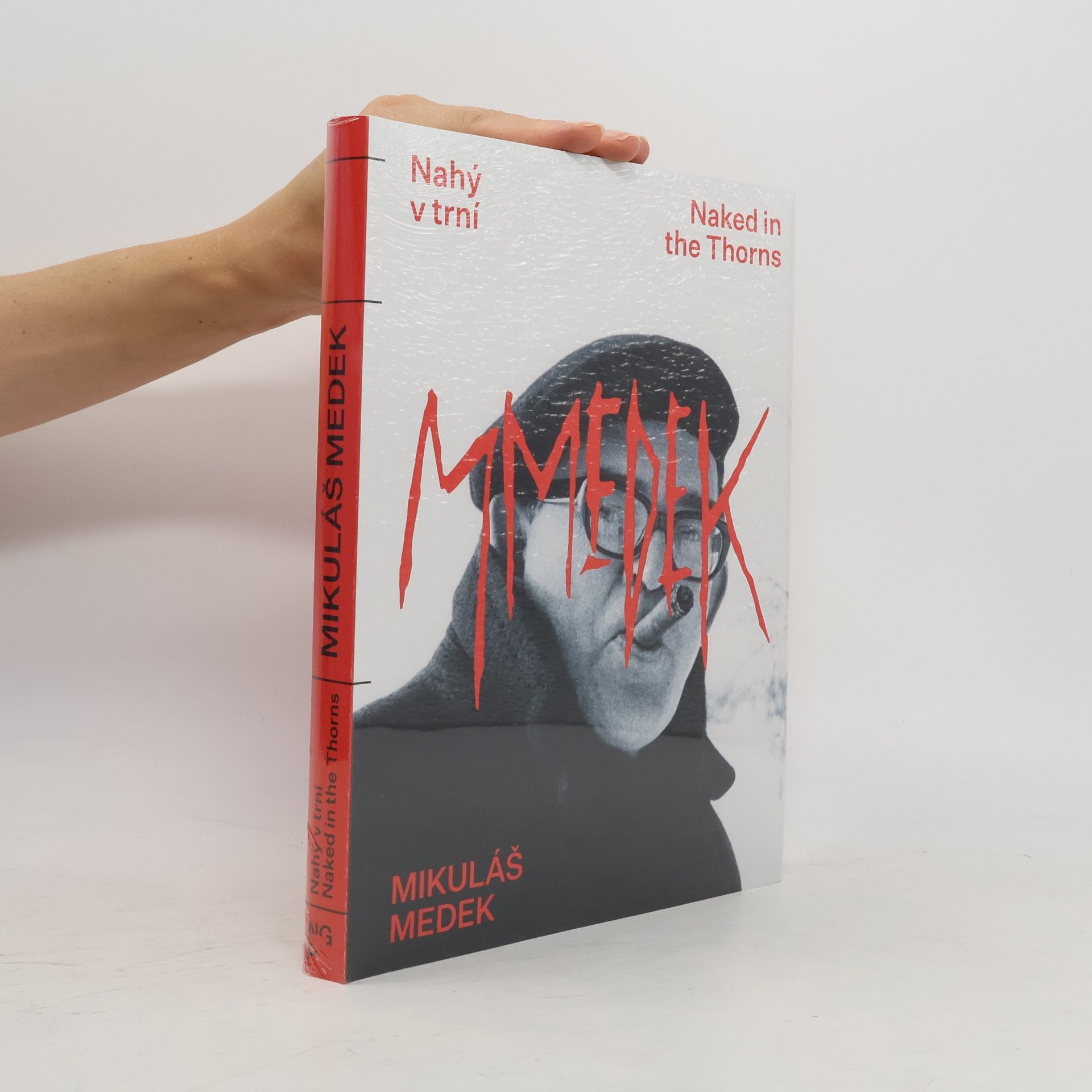 Autorenkollektiv Mikuláš Medek: Nahý v trní