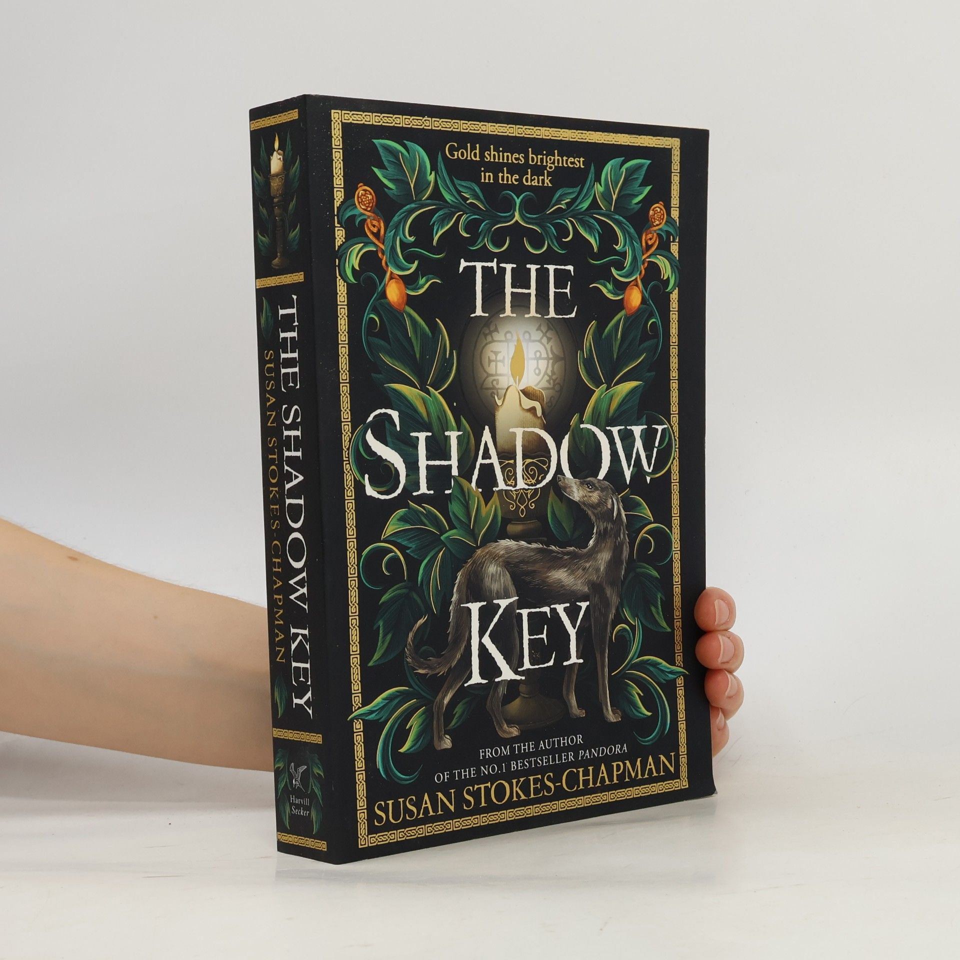 Susan Stokes Chapman The Shadow Key
