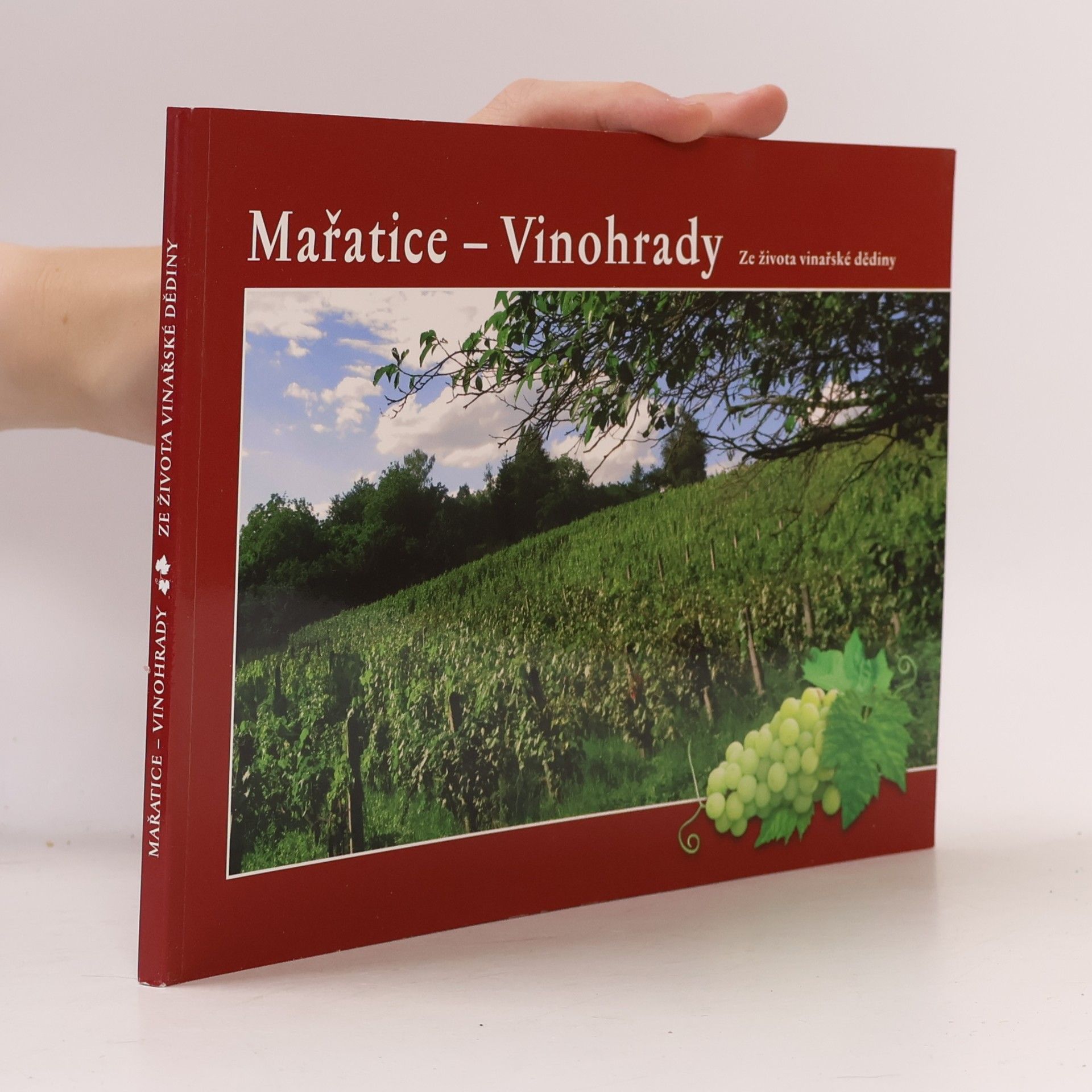 Věra Kovářů Mařatice - Vinohrady