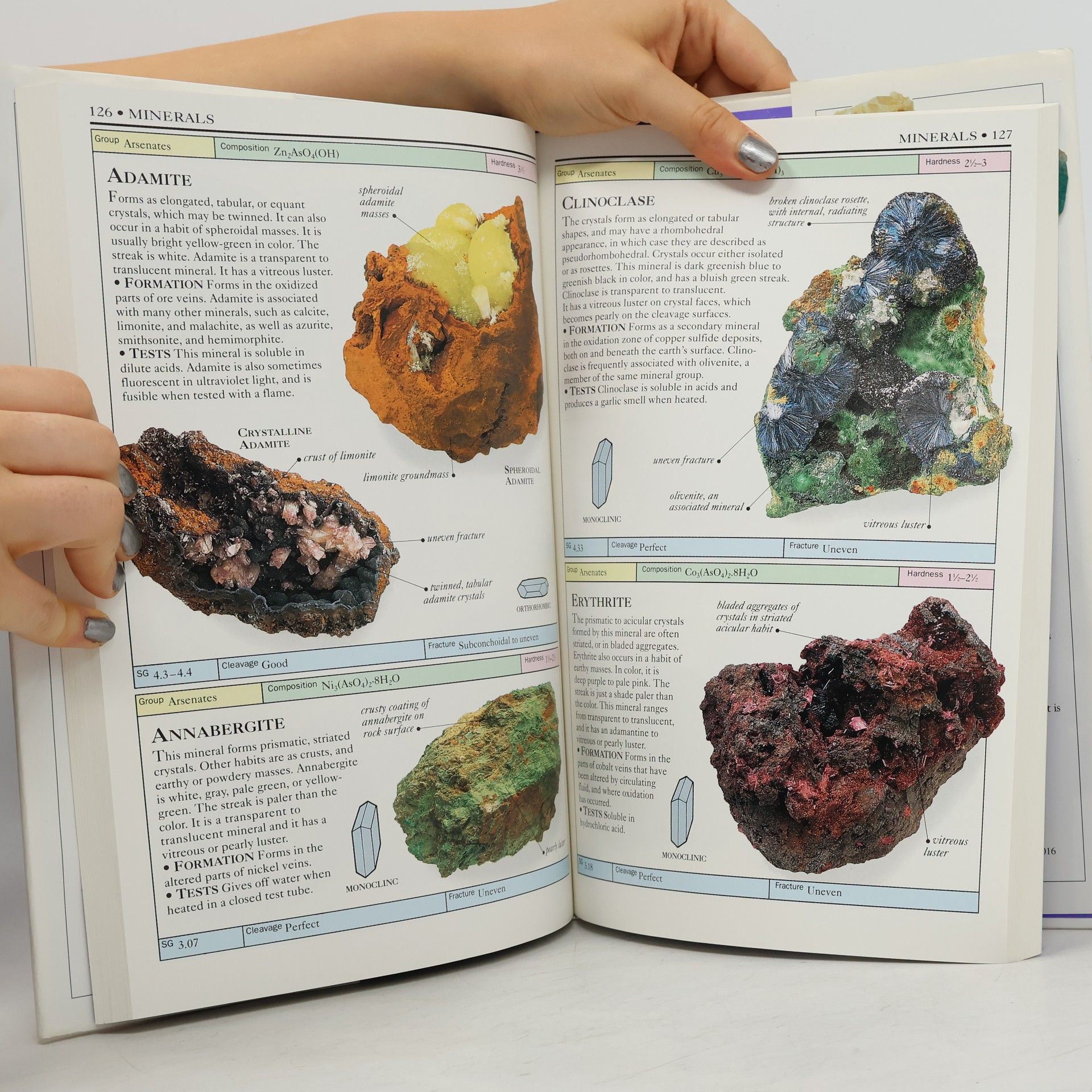 Chris Pellant The Complete Book of Rocks and Minerals