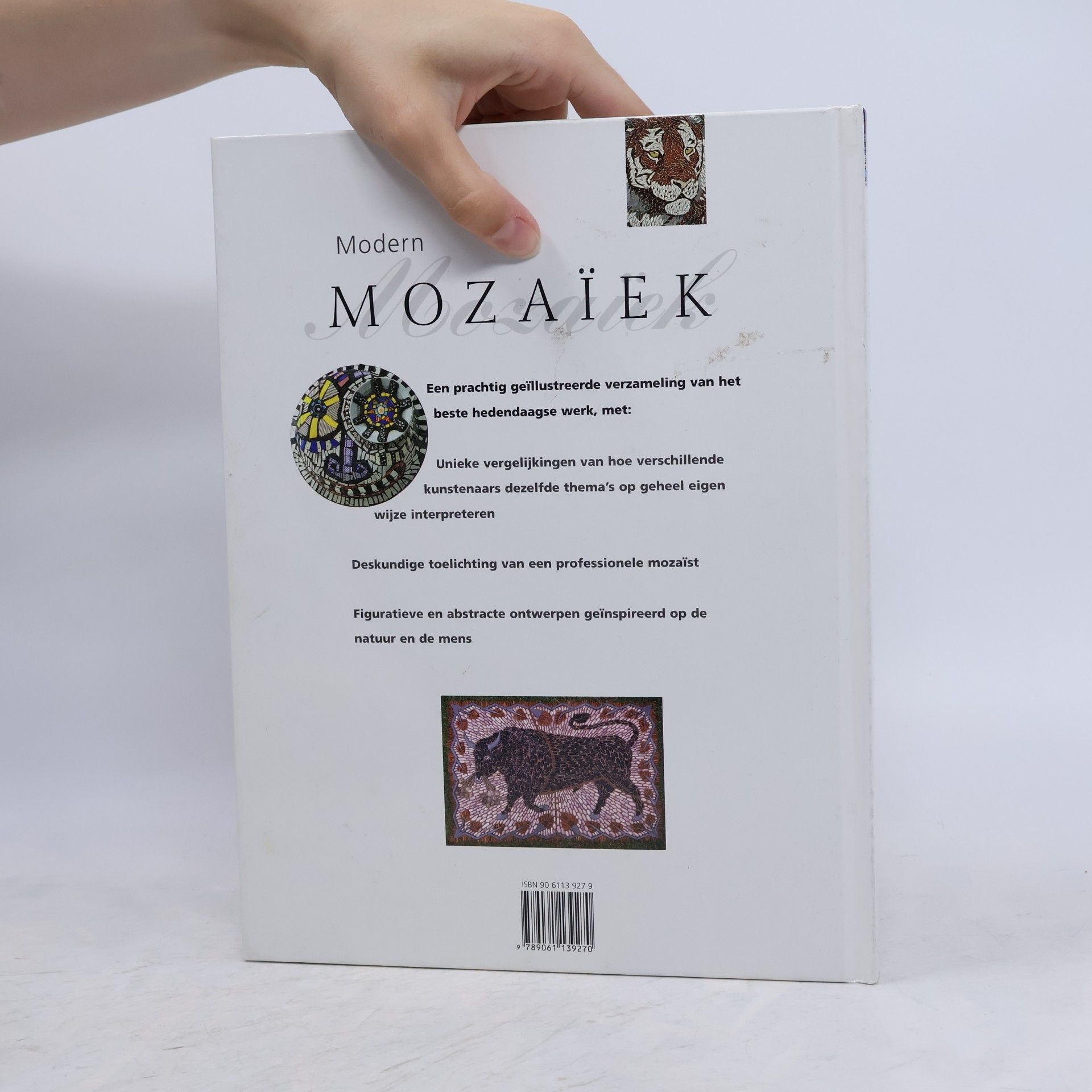 Martin Cheek Modern Mozaïek