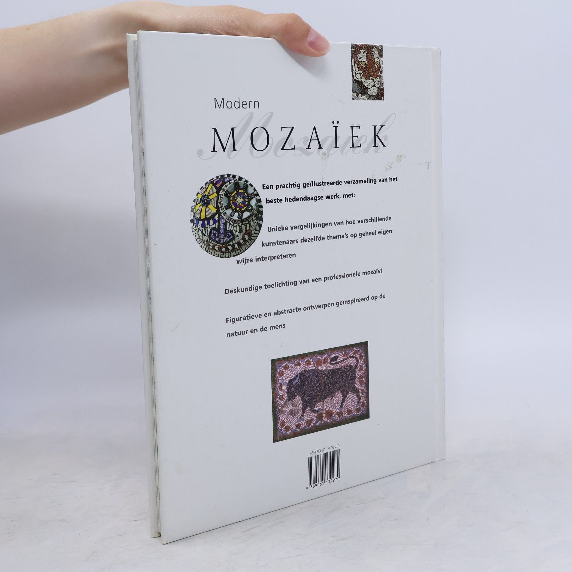Martin Cheek Modern Mozaïek