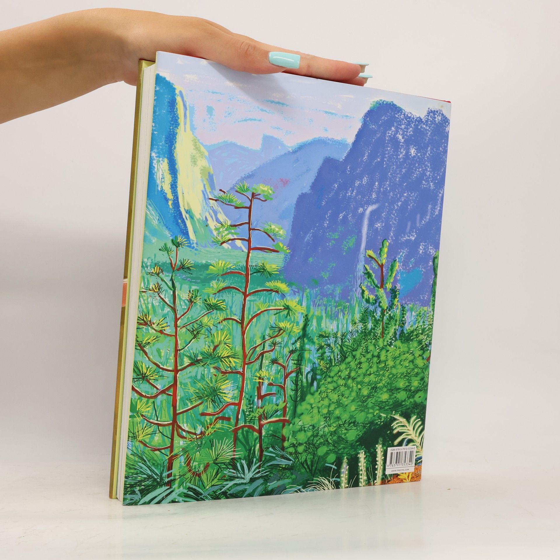 Lawrence Weschler David Hockney