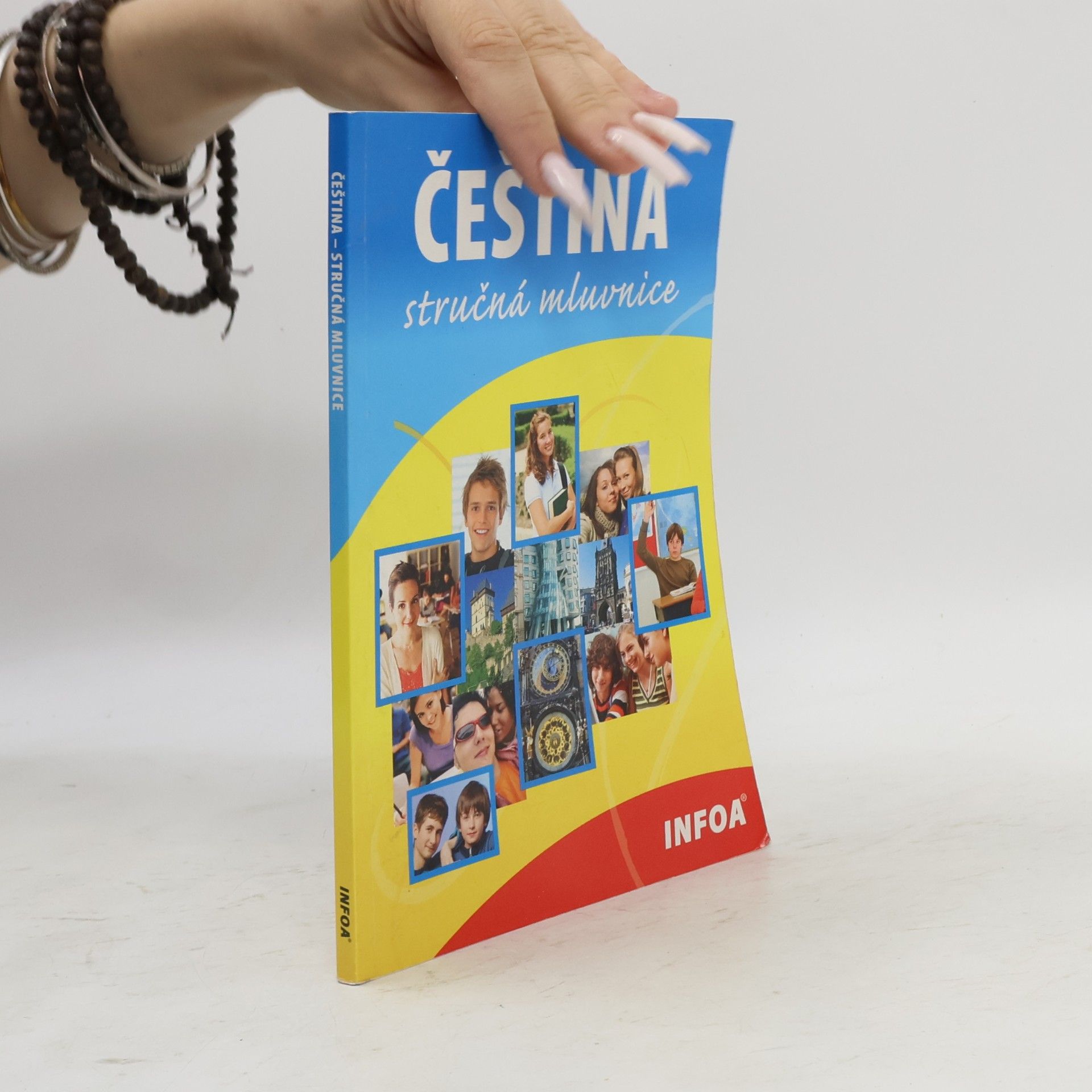 Čeština. Stručná mluvnice
