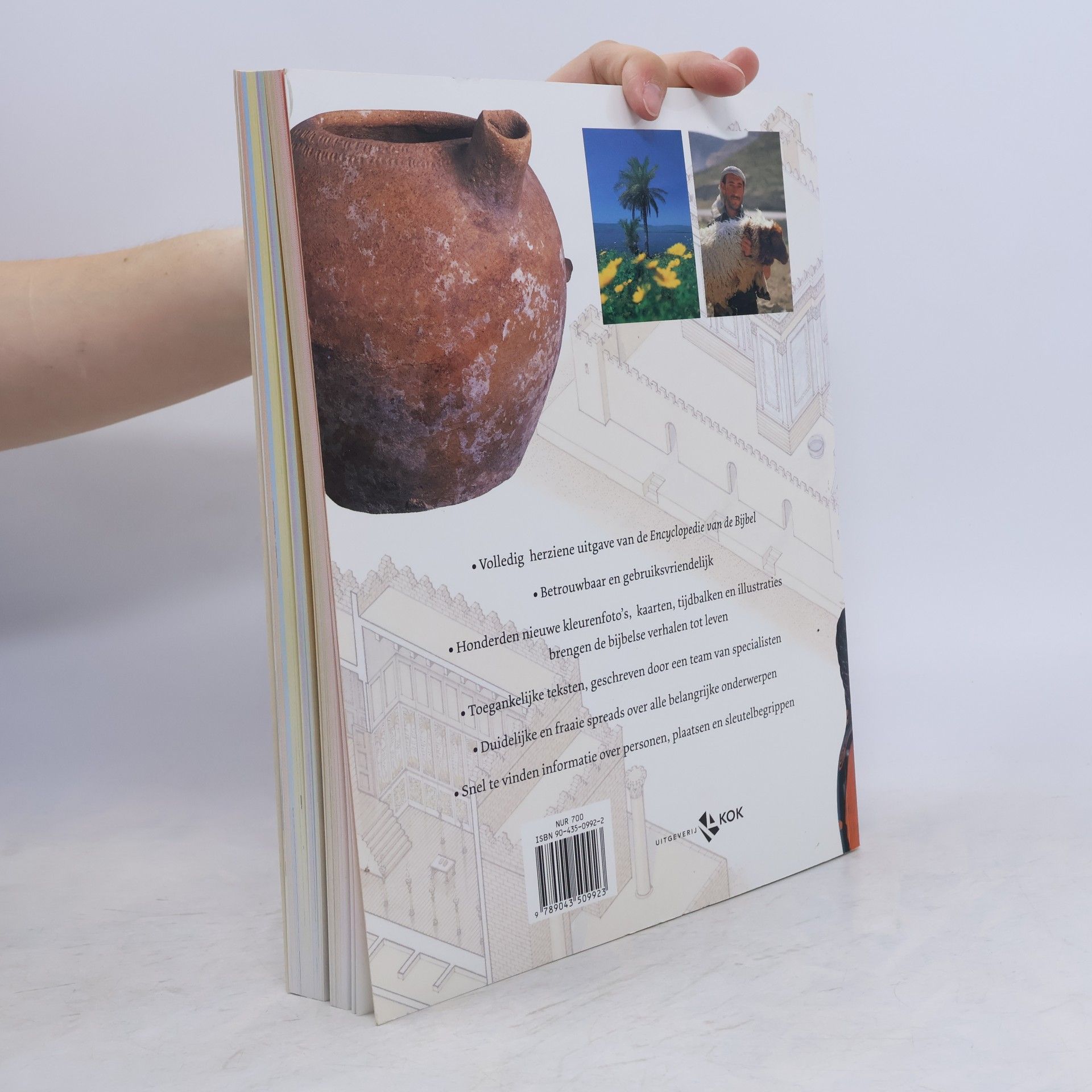 John Drane Nieuwe encyclopedie van de Bijbel / druk 6