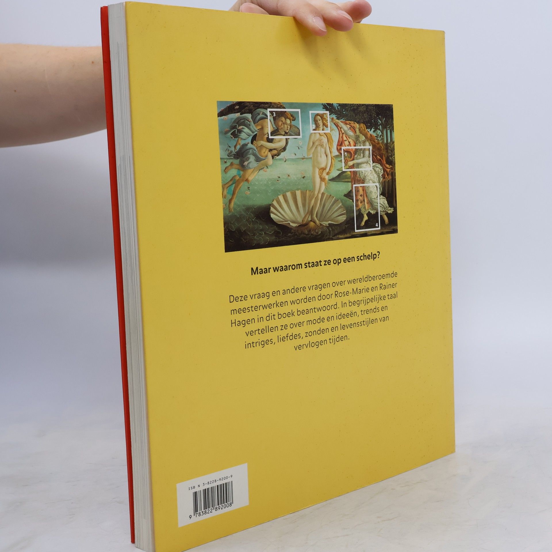 Rose Marie Hagen Kijk op schilderkunst