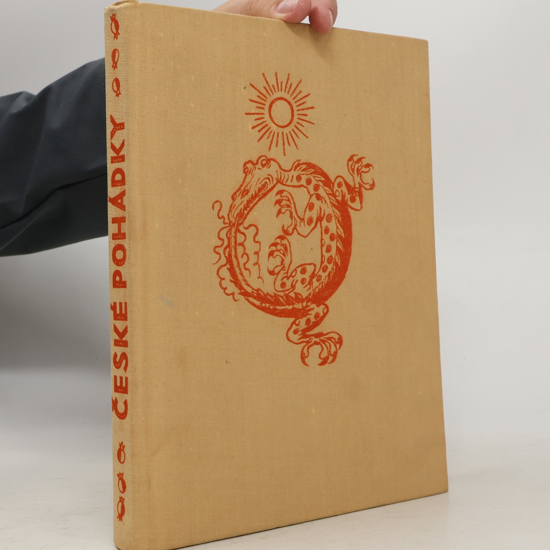 Autorenkollektiv České pohádky. Čarodějná mošna