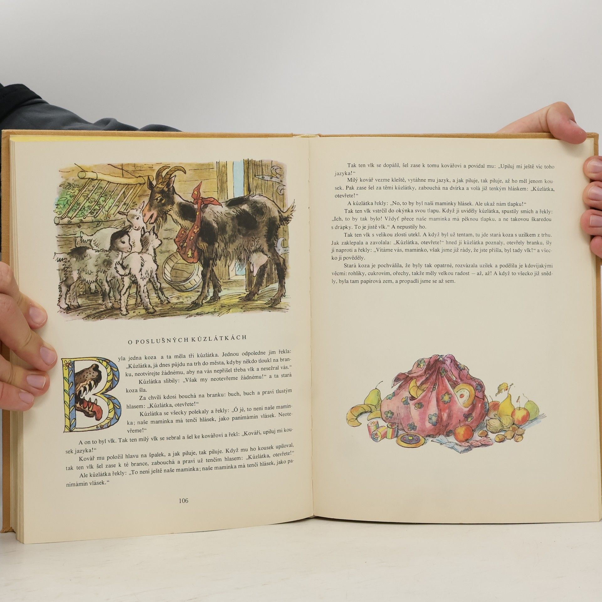 Autorenkollektiv České pohádky. Čarodějná mošna