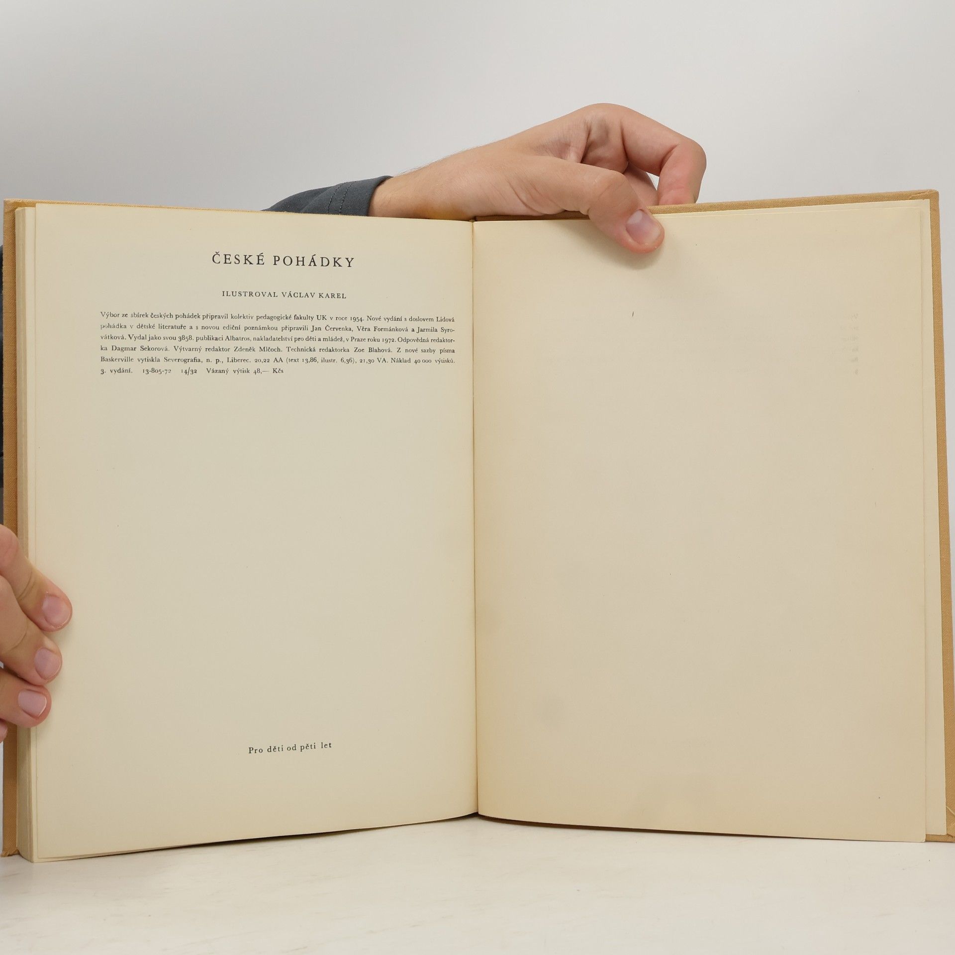 Autorenkollektiv České pohádky. Čarodějná mošna