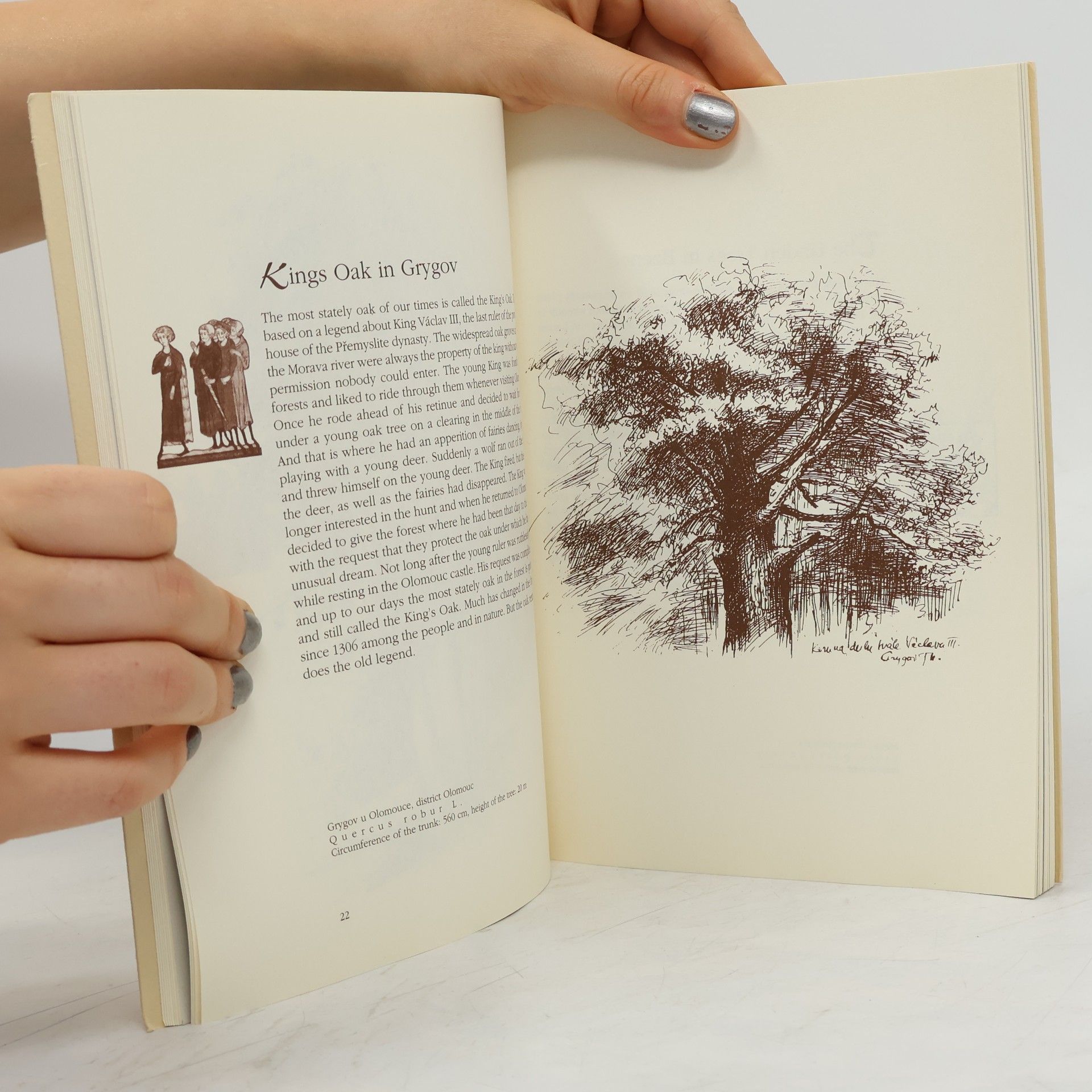 Jaroslav Turek What Trees Remember