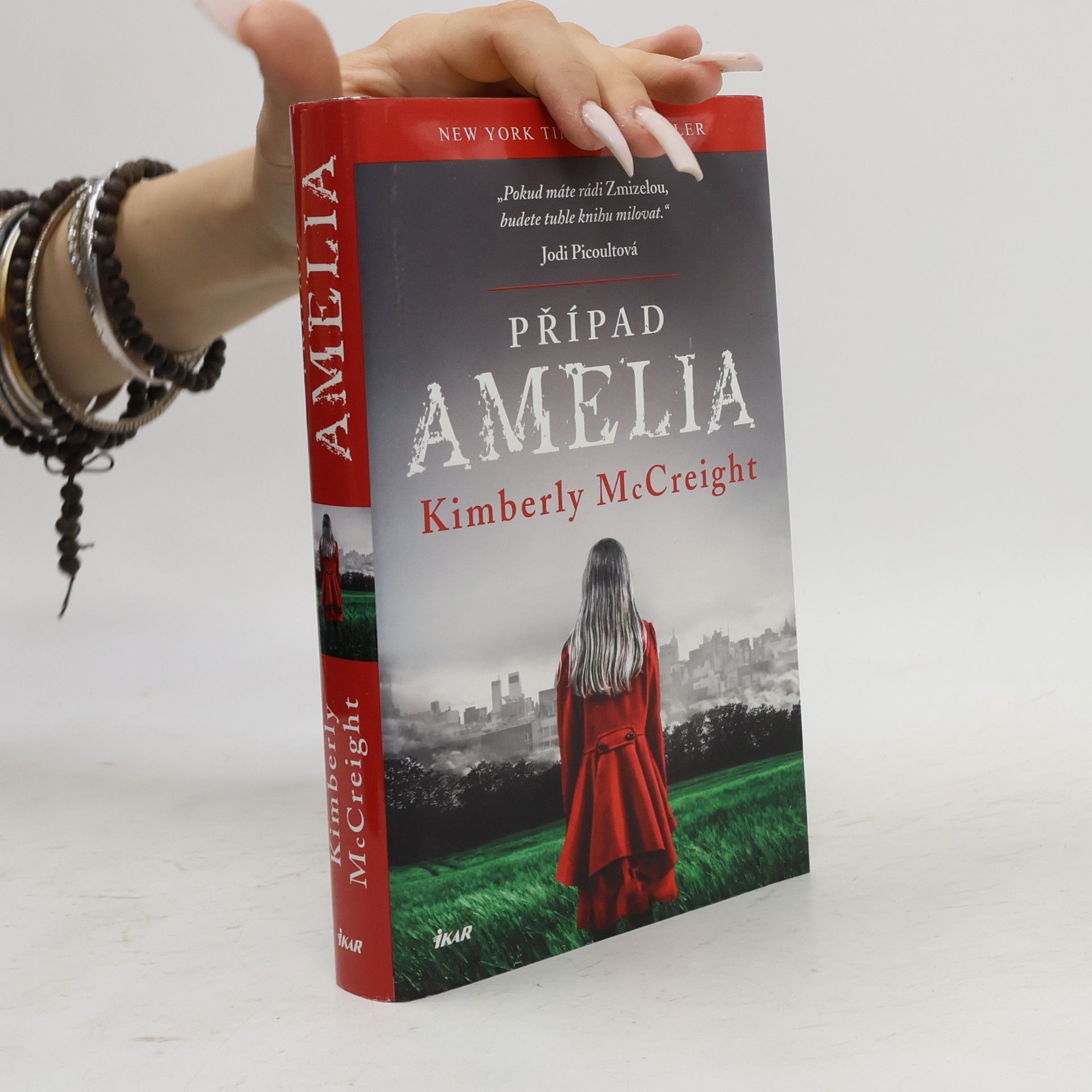 Kimberly McCreight Případ Amelia