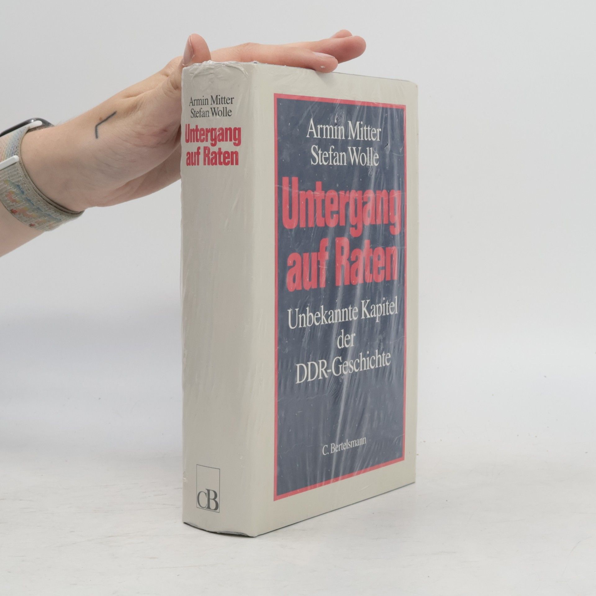 Armin Mitter Untergang auf Raten