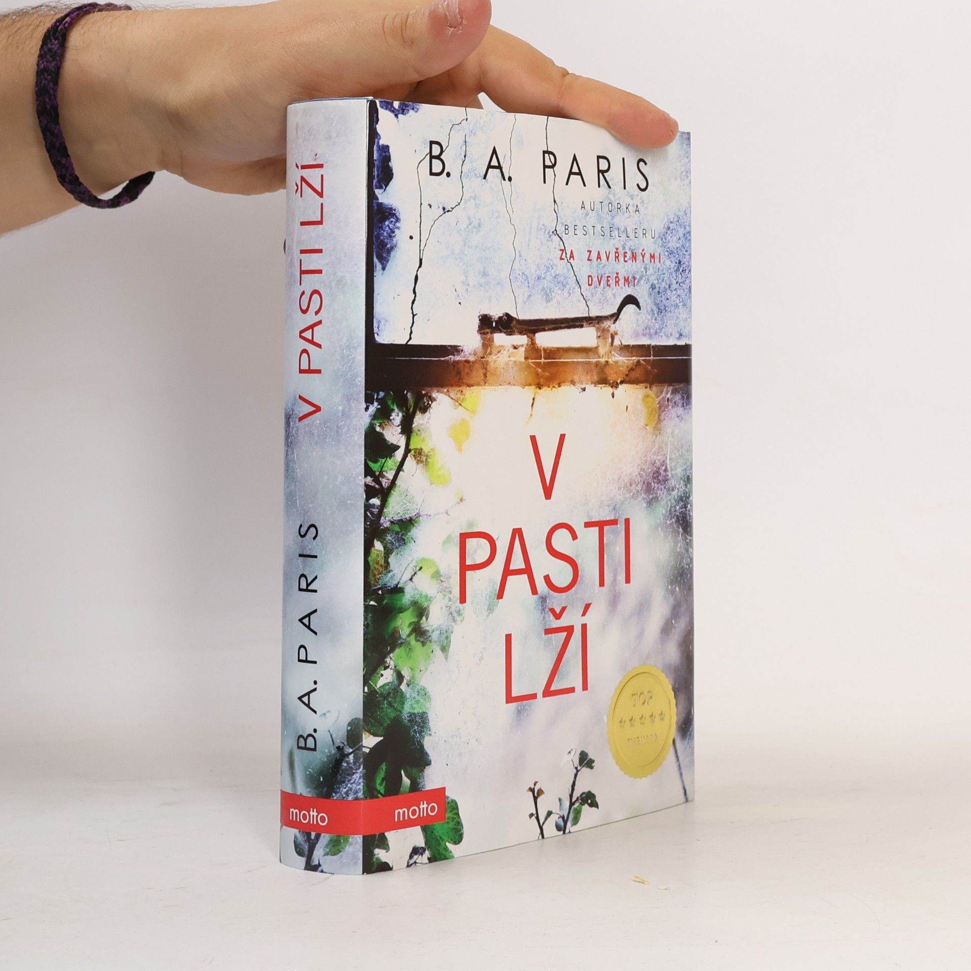 B.A. Paris V pasti lží