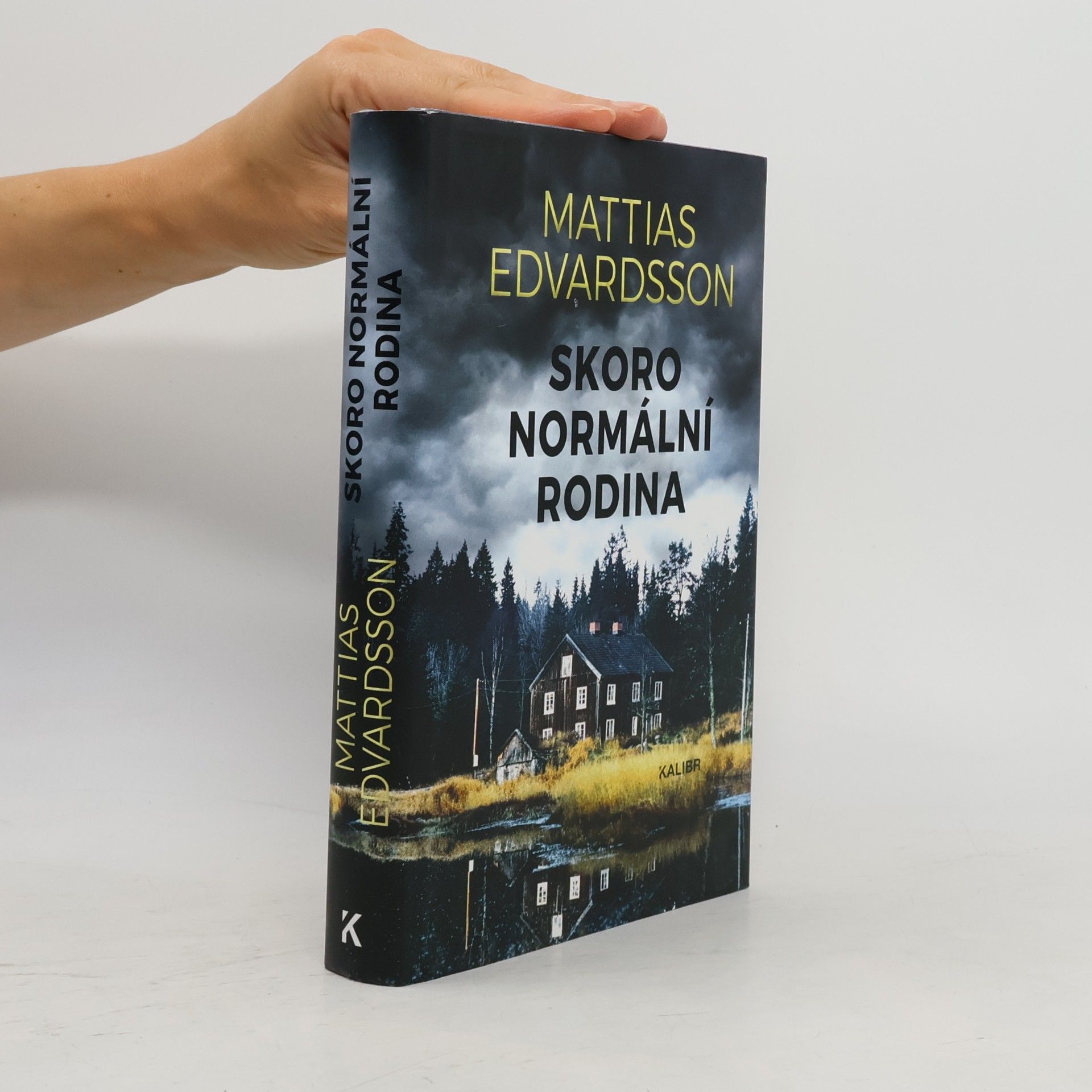 Mattias Edvardsson Skoro normální rodina