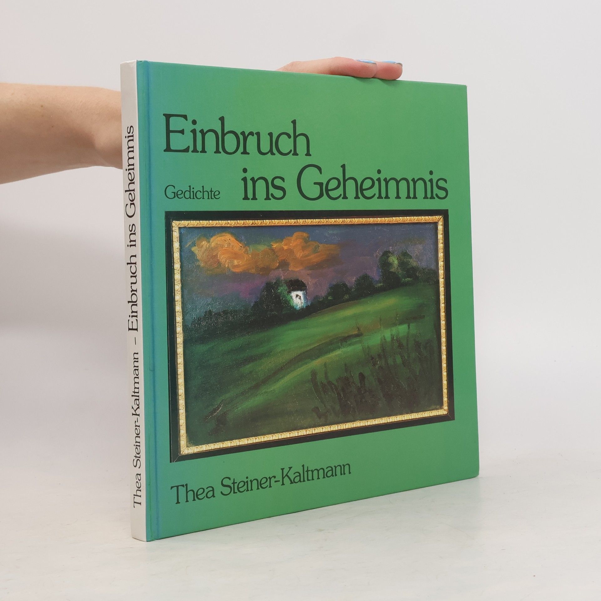 Einbruch ins Geheimnis